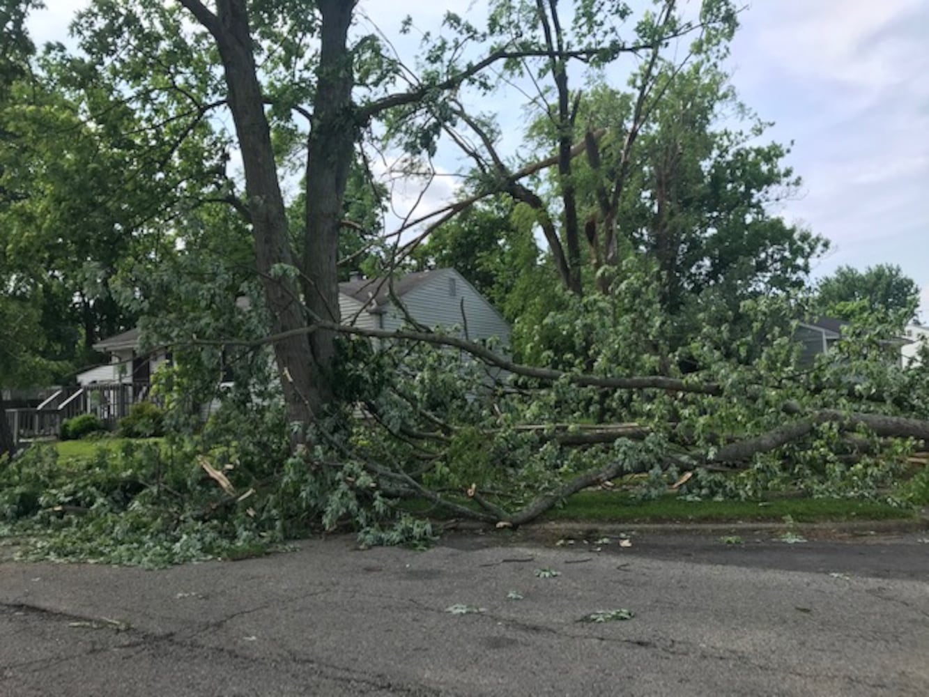 PHOTOS: Riverside storm damage