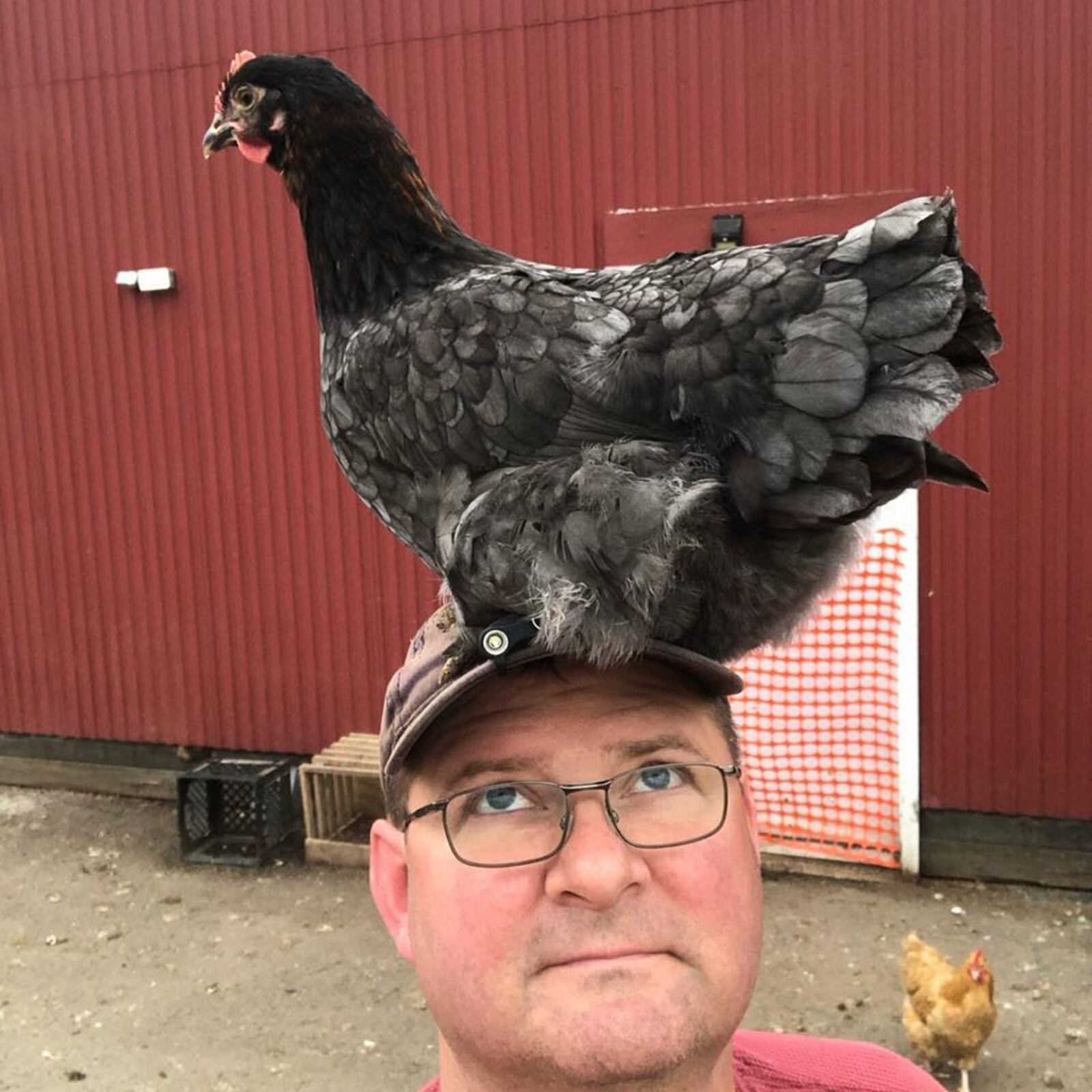 John and Andrea Hancock  own Happy Wife Arces farm near Fairborn and Enon.