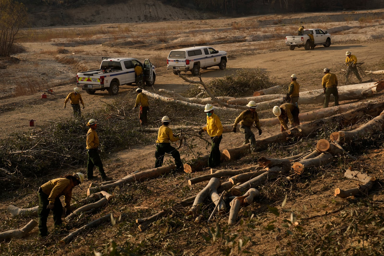 Firefighters from the Navajo Scouts firefighter crew cut up trees destroyed by the Eaton Fire, Friday, Jan. 17, 2025, in Pasadena, Calif. (AP Photo/John Locher)