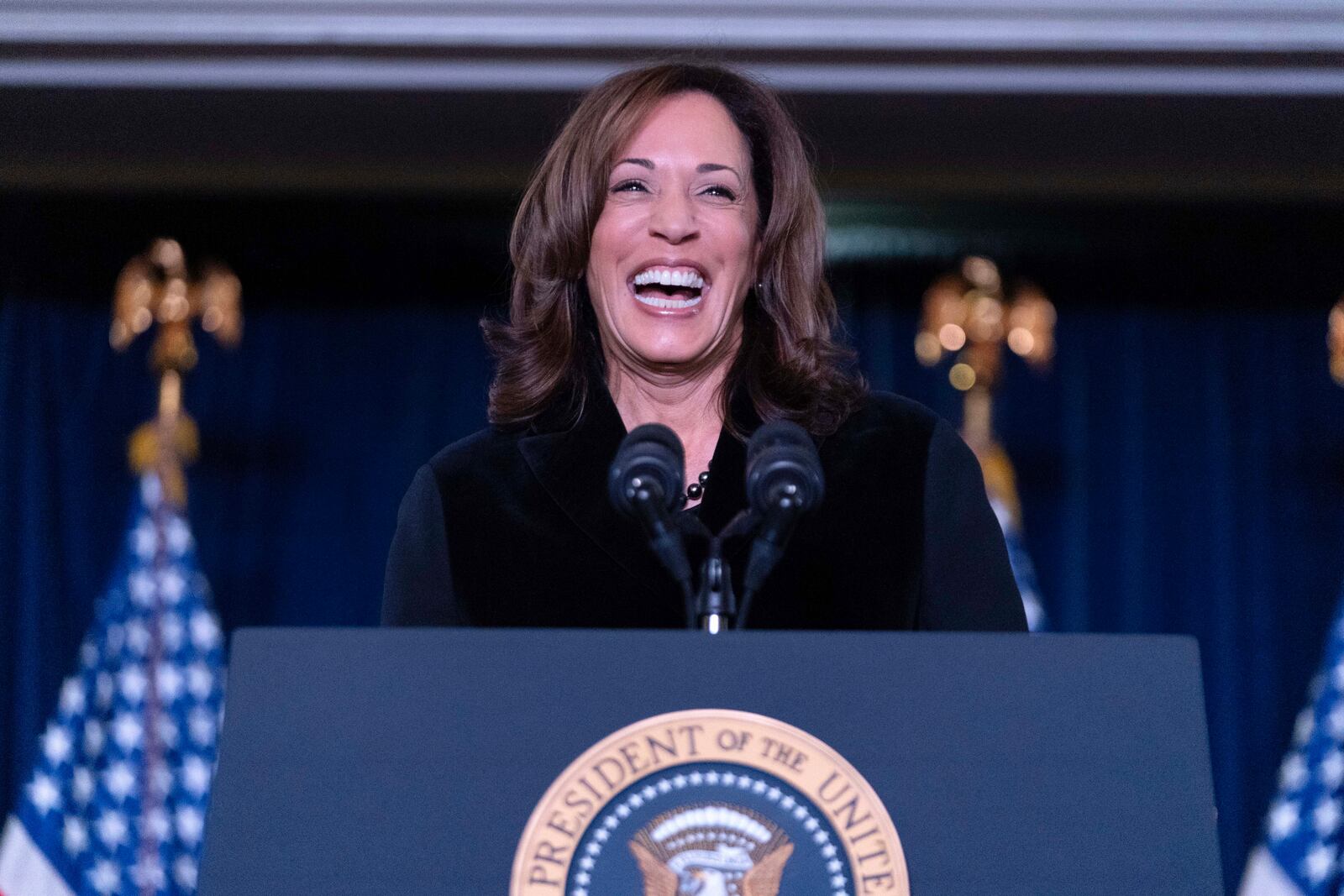 Vice President Kamala Harris delivers her remarks at the Democratic National Committee's Holiday Reception at Willard Hotel in Washington, Sunday, Dec. 15, 2024. (AP Photo/Jose Luis Magana)