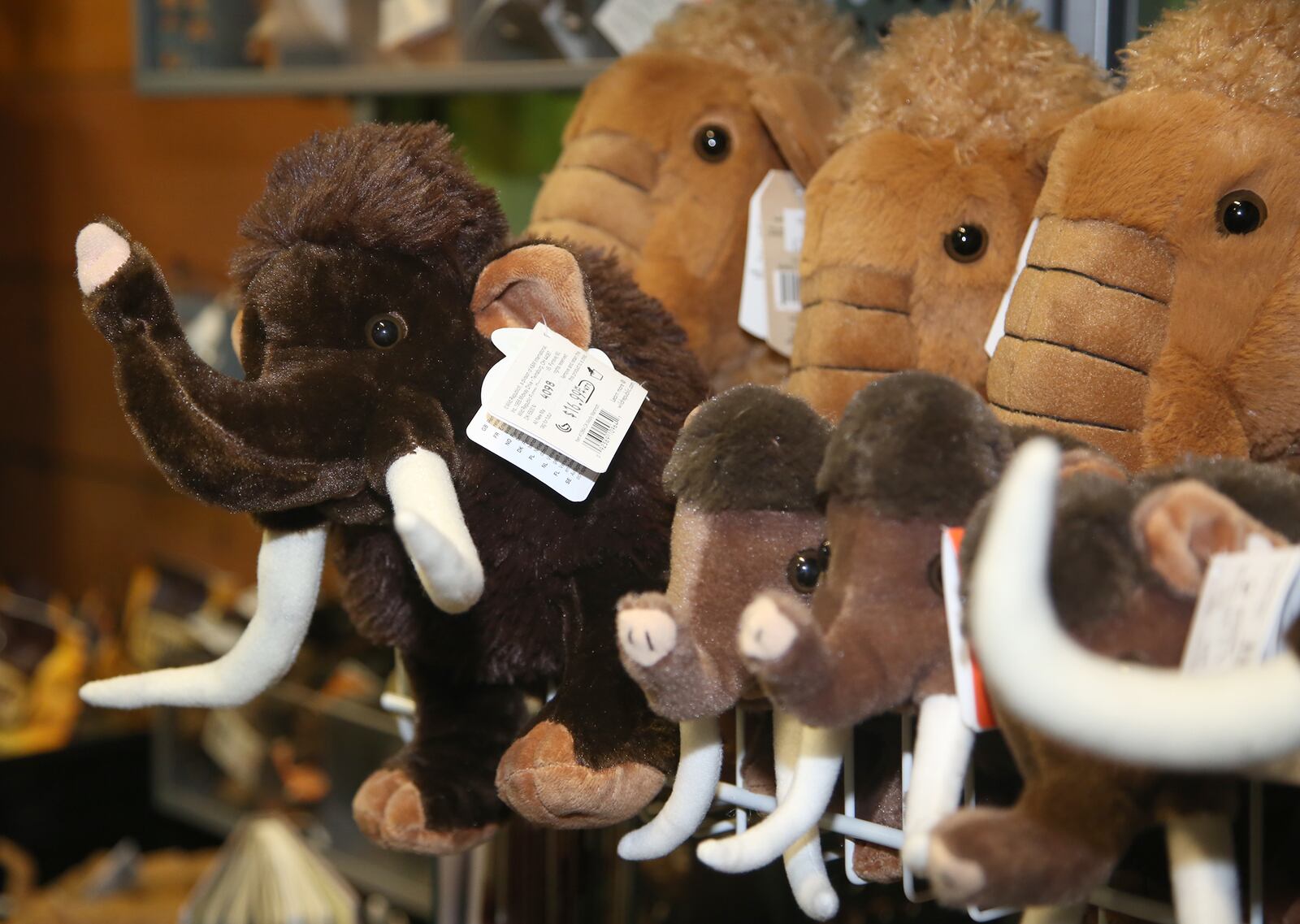 The Discoveries Gift Shop at the Boonshoft Museum has unique gifts for all ages including plush toy animals from the Ice Age.  LISA POWELL / STAFF