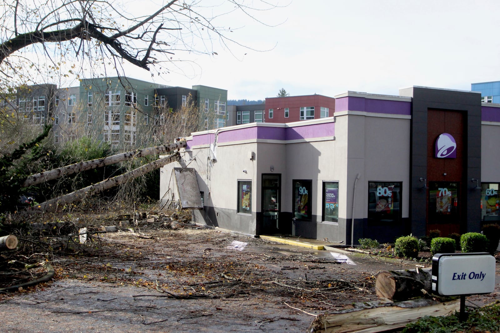 A crew cuts a tree that fell on a Taco Bell restaurant on Wednesday, Nov. 20, 2024, in Issaquah, Wash., after a "bomb cyclone" storm brought high winds to the area. (AP Photo/Manuel Valdes)