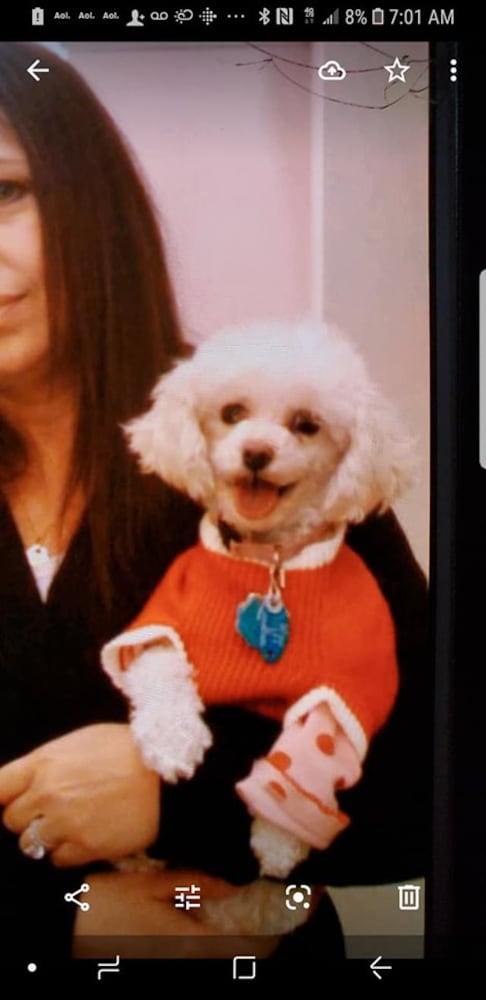 PHOTOS: It’s National Dog Day! Here is some puppy smiles for you