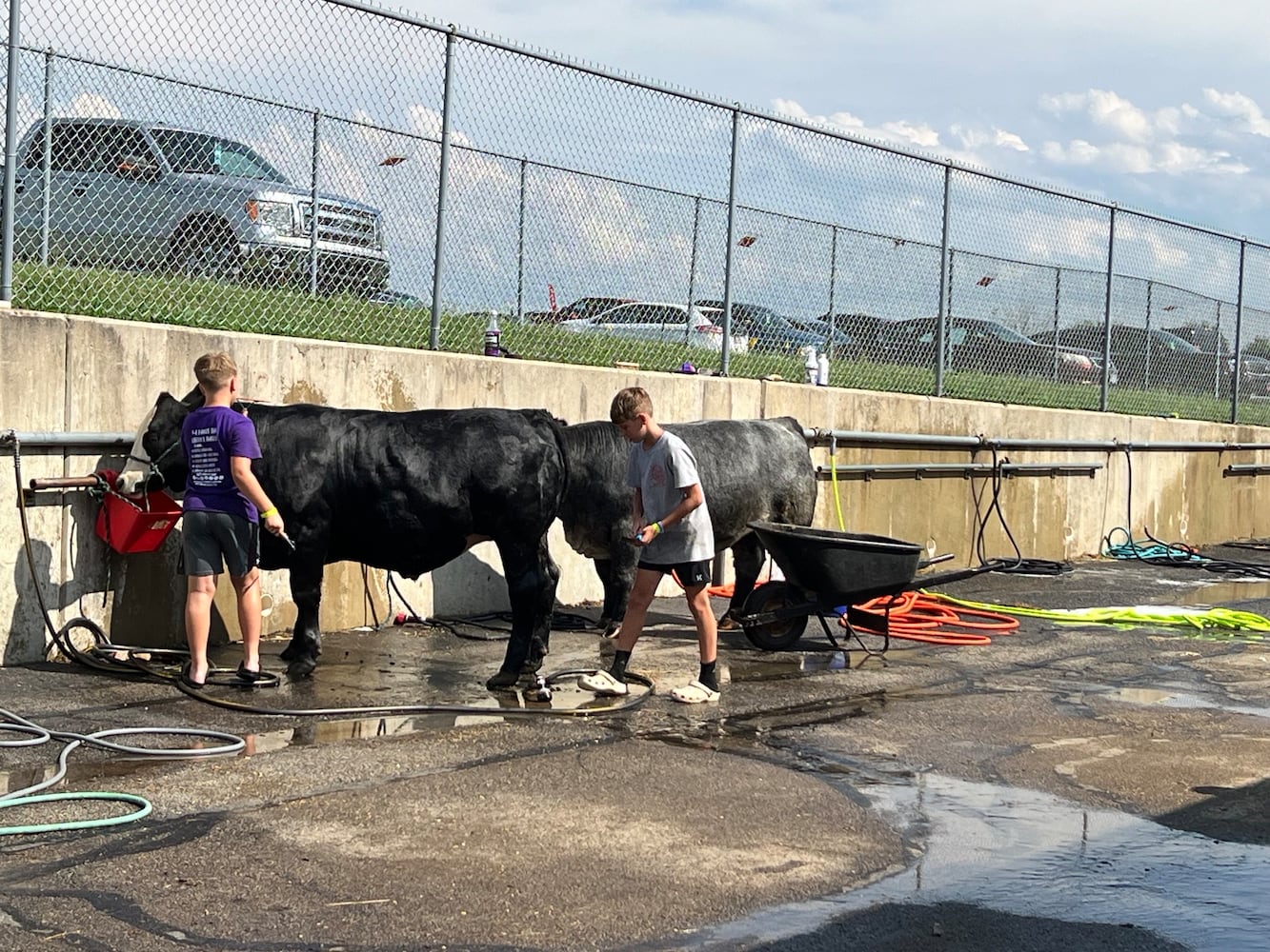 Warren County Fair 2024