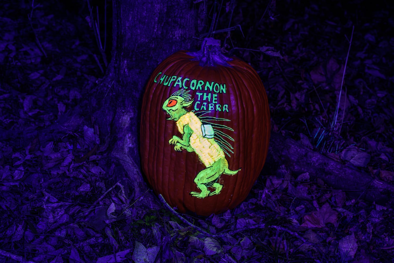 PHOTOS: 2024 Pumpkin Glow at Caesar Ford Park