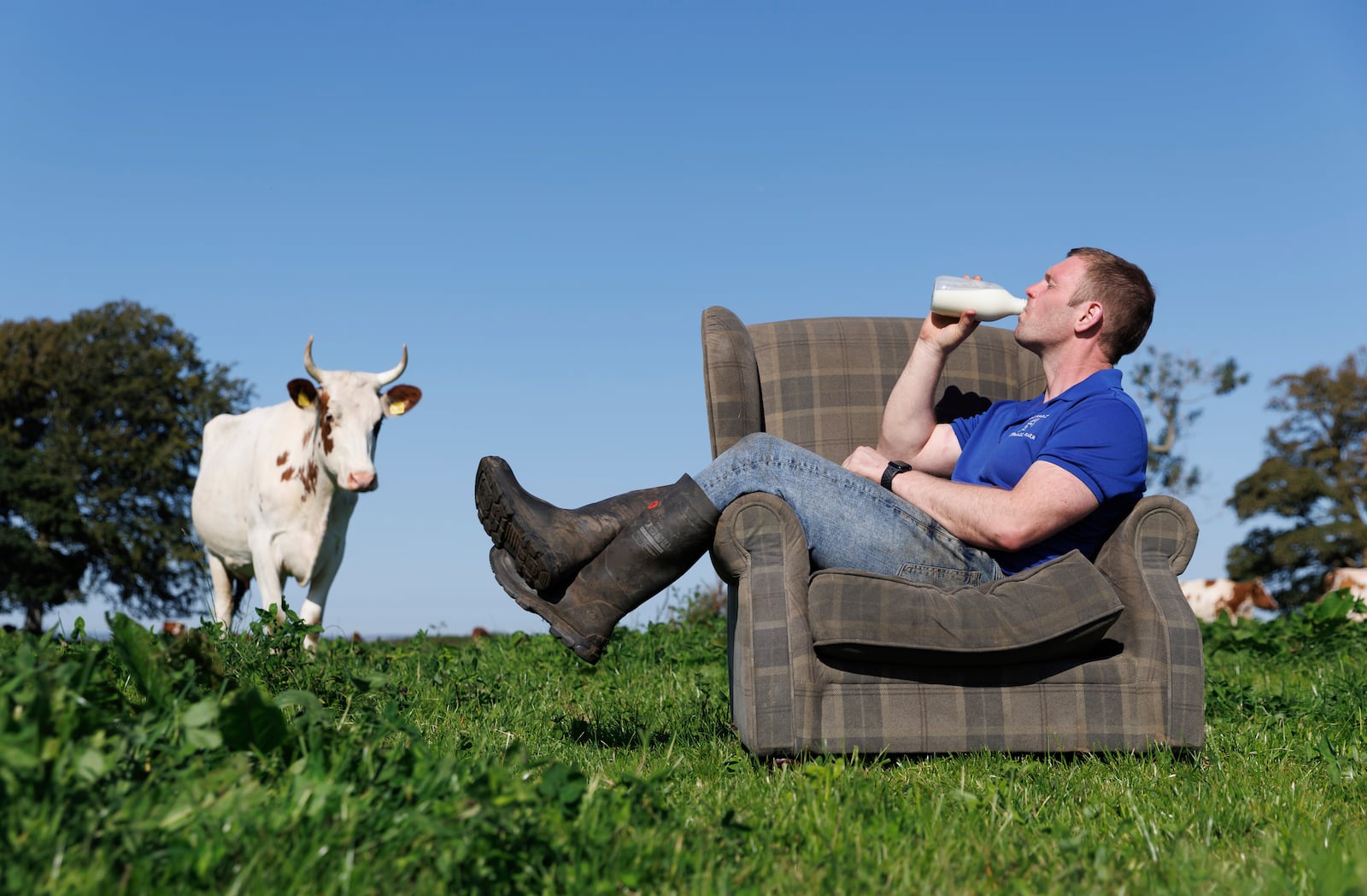 This undated handout photo shows Bryce Cunningham, farmer and owner of Mossgiel Organic Farm near Mauchline, drinking milk in a field with some of his herd of Ayrshire cows at Mossgiel Organic Farm, Mauchline, Scotland. (Mossgiel Organic Dairy via AP)