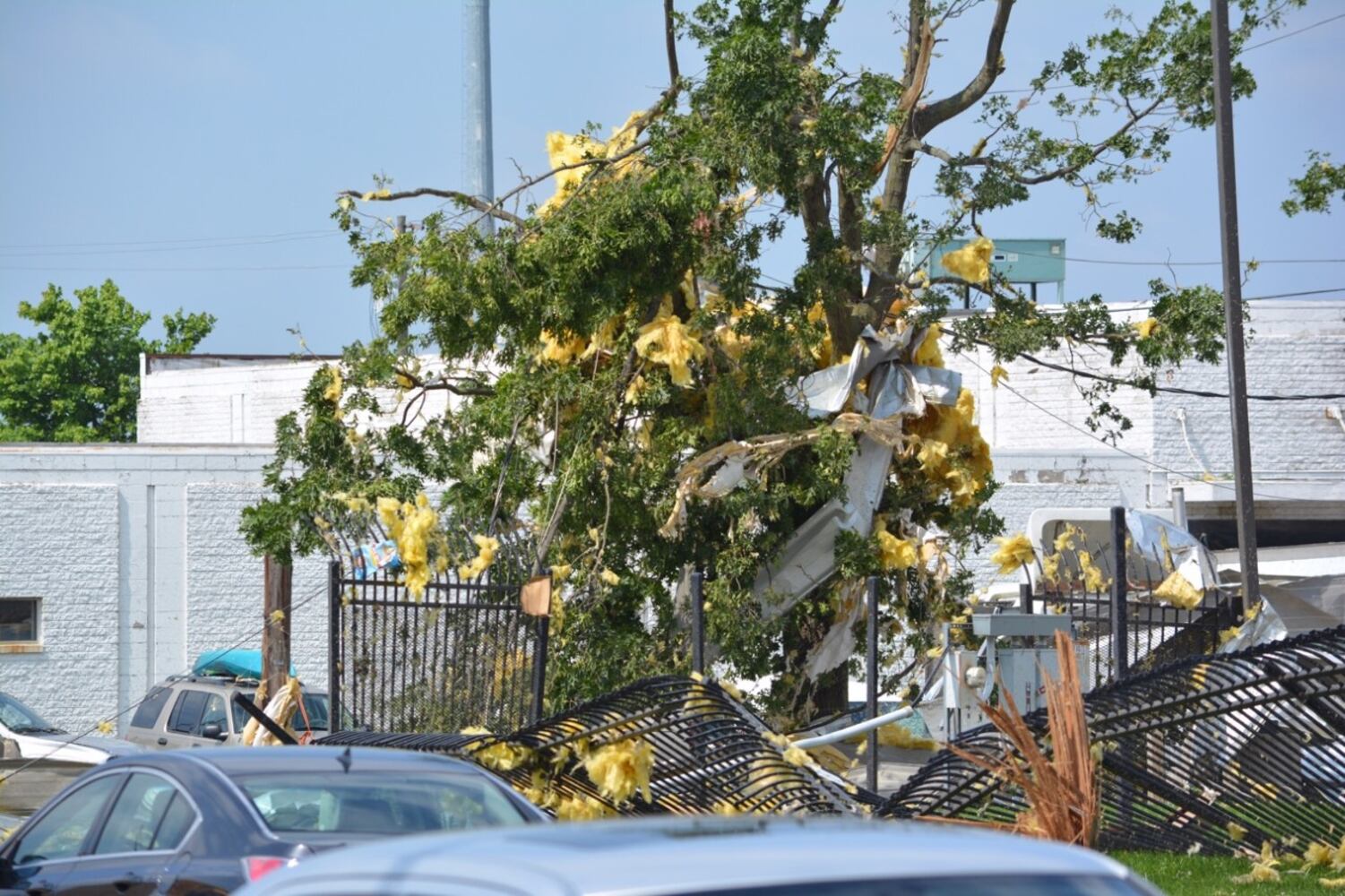 PHOTOS: Daylight reveals widespread damage from Monday storms