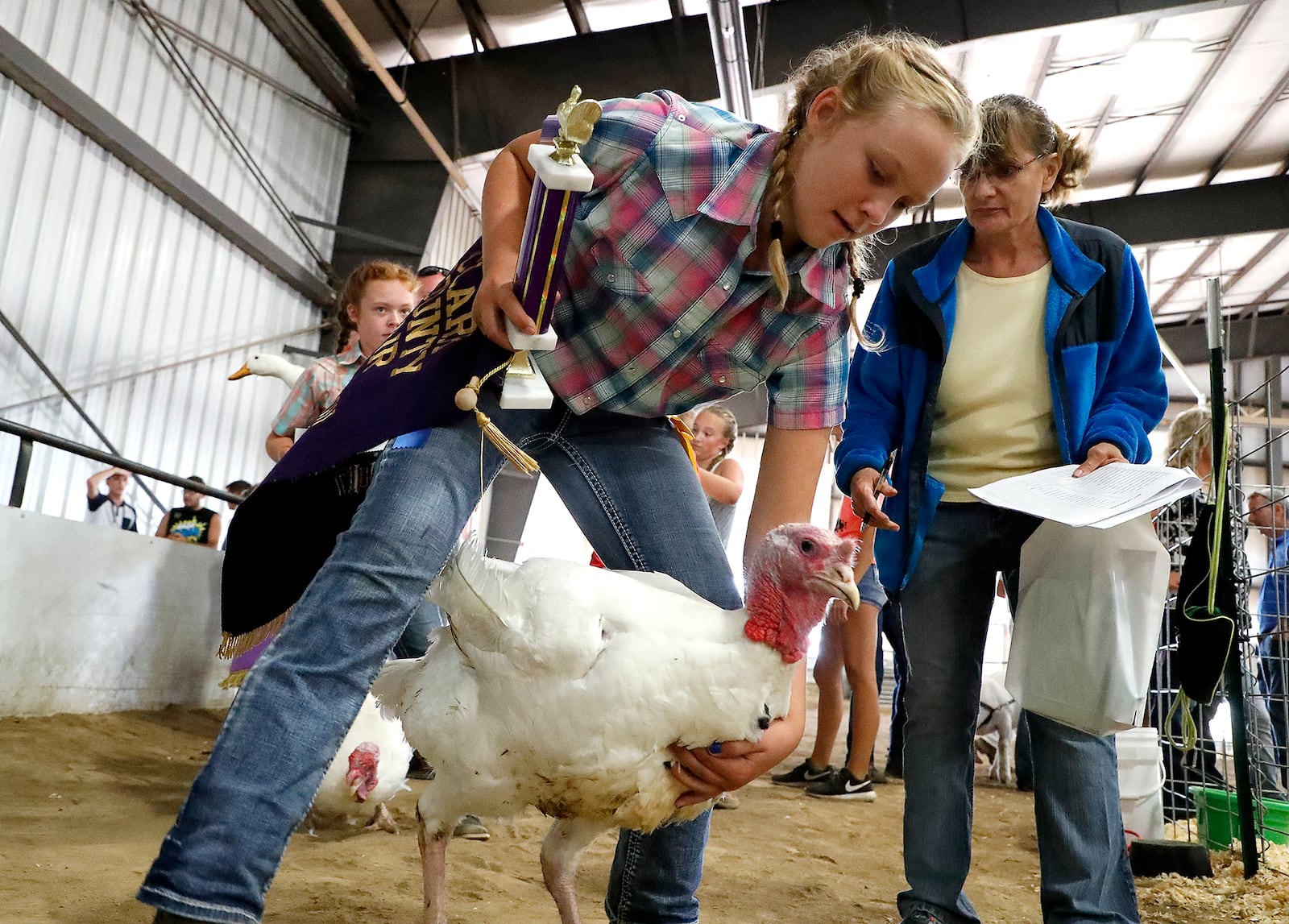 Emily Taylor guides her Grand Champion Overall Market Turkey into the auction ring Friday during the Auction of Champions at the Clark County Fair. Bill Lackey/Staff