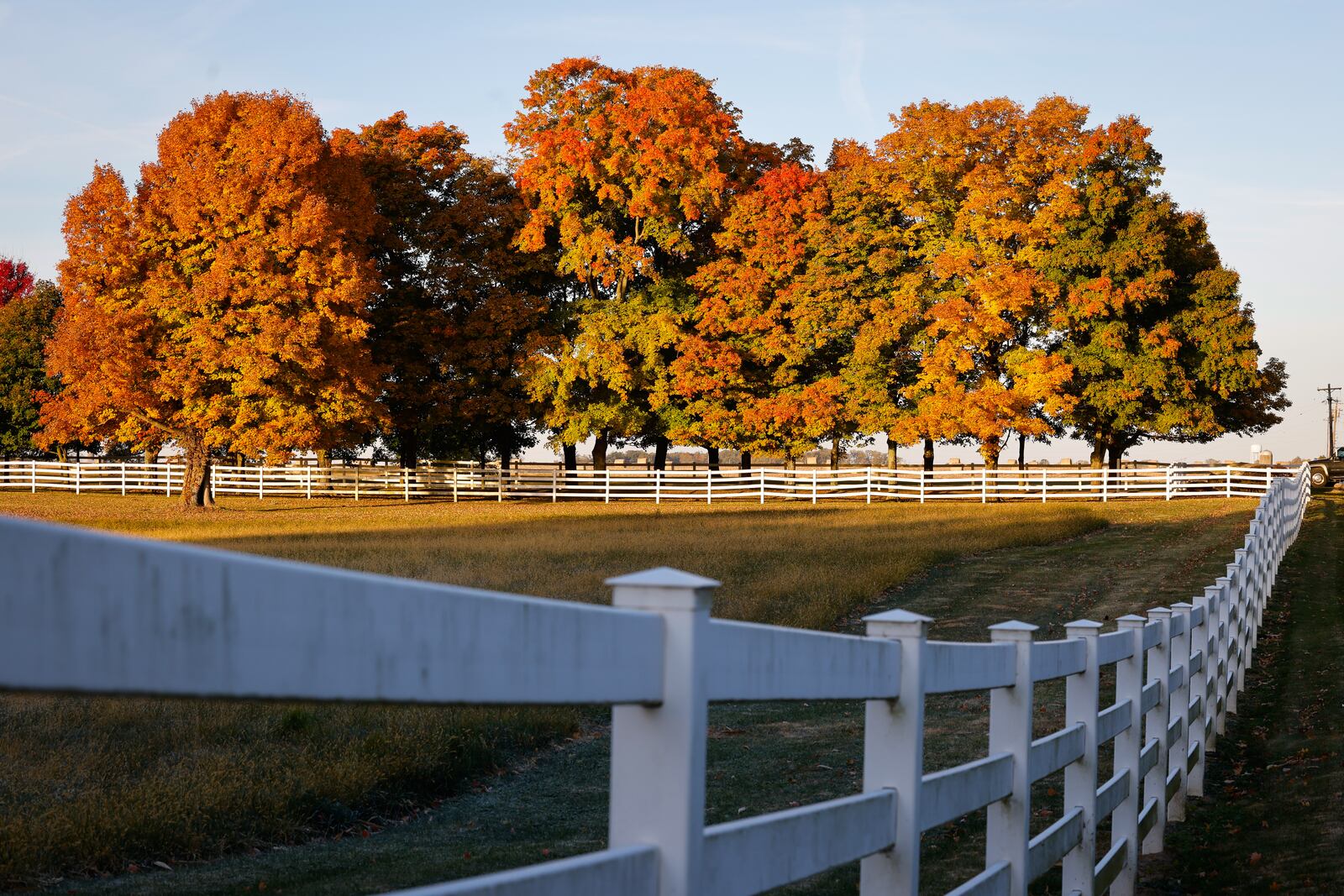 Fall colors pop in the early morning sun at Cox Farm in Wayne Township Oct. 20, 2022. NICK GRAHAM/STAFF