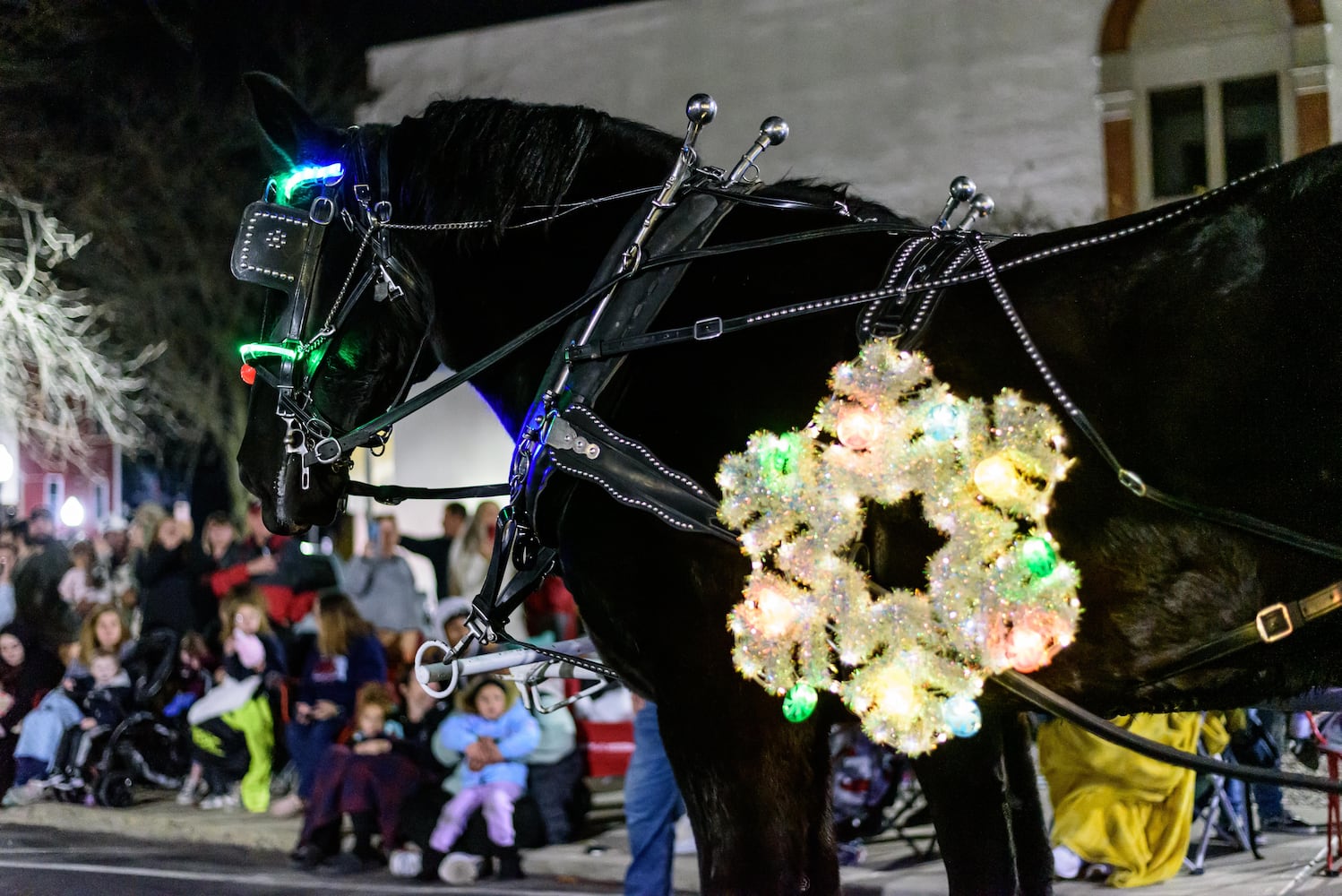 PHOTOS: 2024 Downtown Piqua Holiday Horse Parade