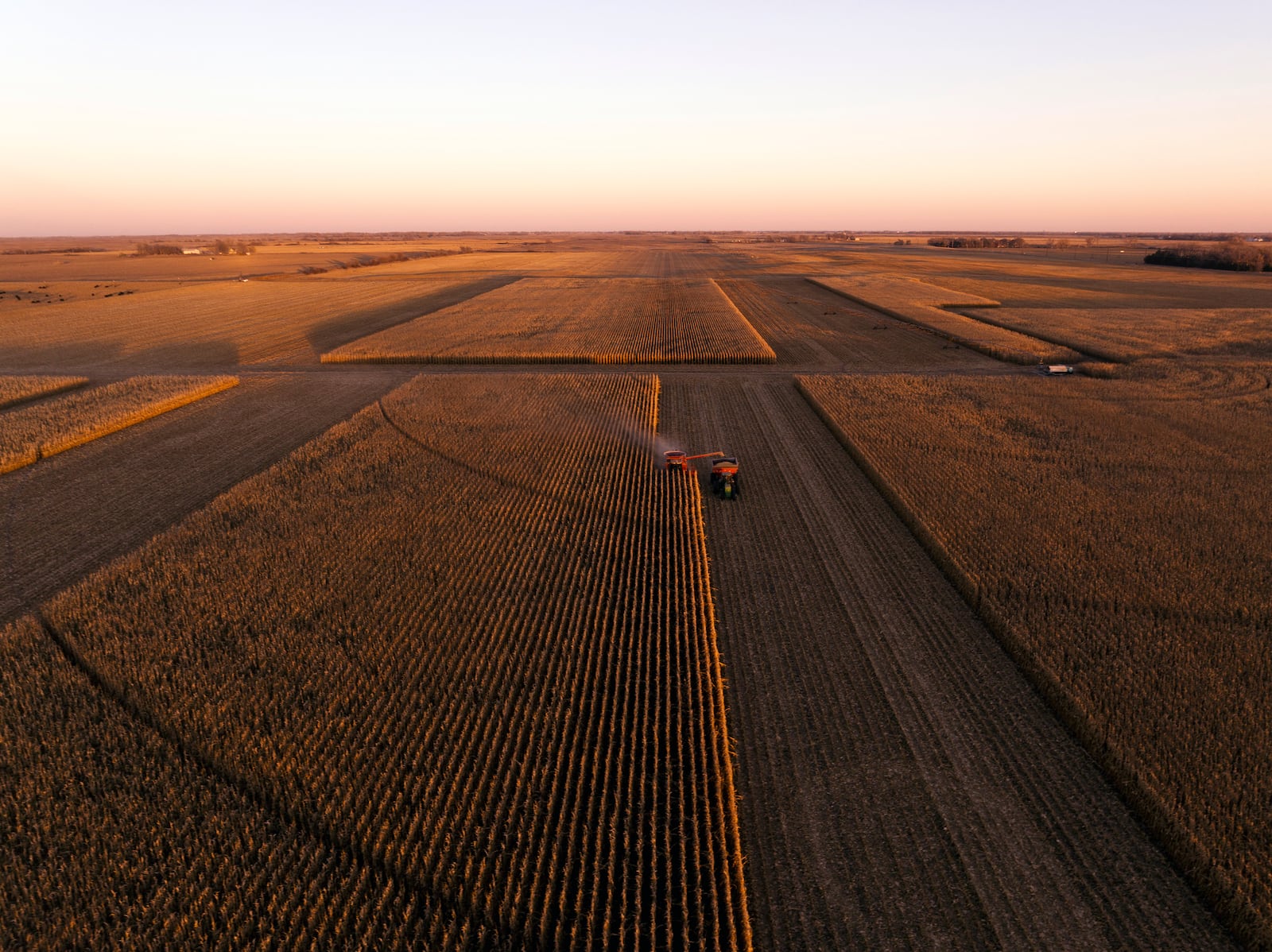 Corn is harvested outside Cairo, Neb. The New York Times. 
                      