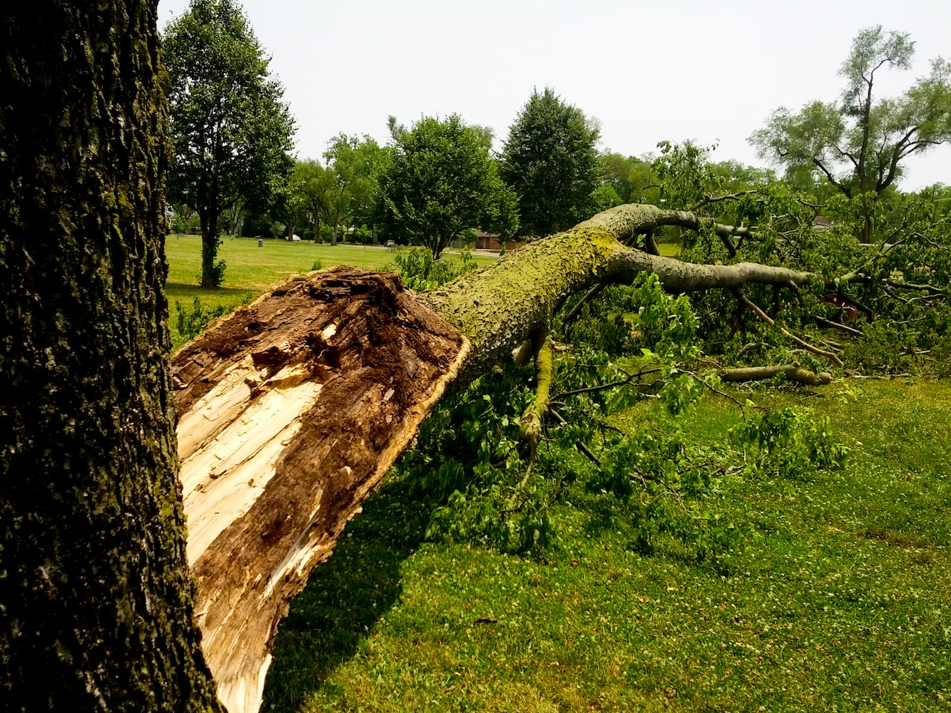 Photos showing damage of June 2012 derecho