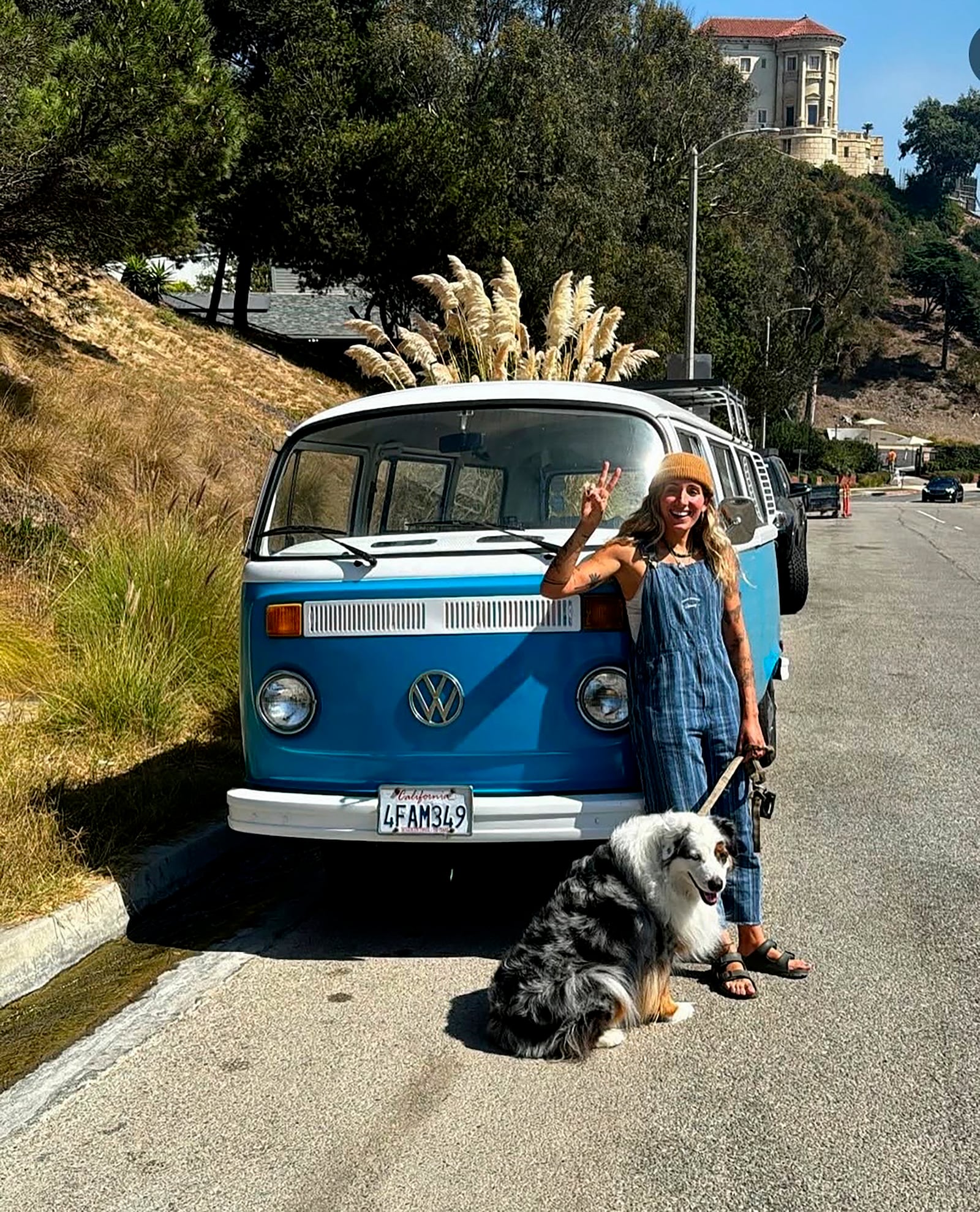 PLEASE HOLD FOR USE WITH STORY-dog Bodi in front of her VW van on Sept. 30, 2024 in Malibu, Calif. (Macy DiCenso via AP)