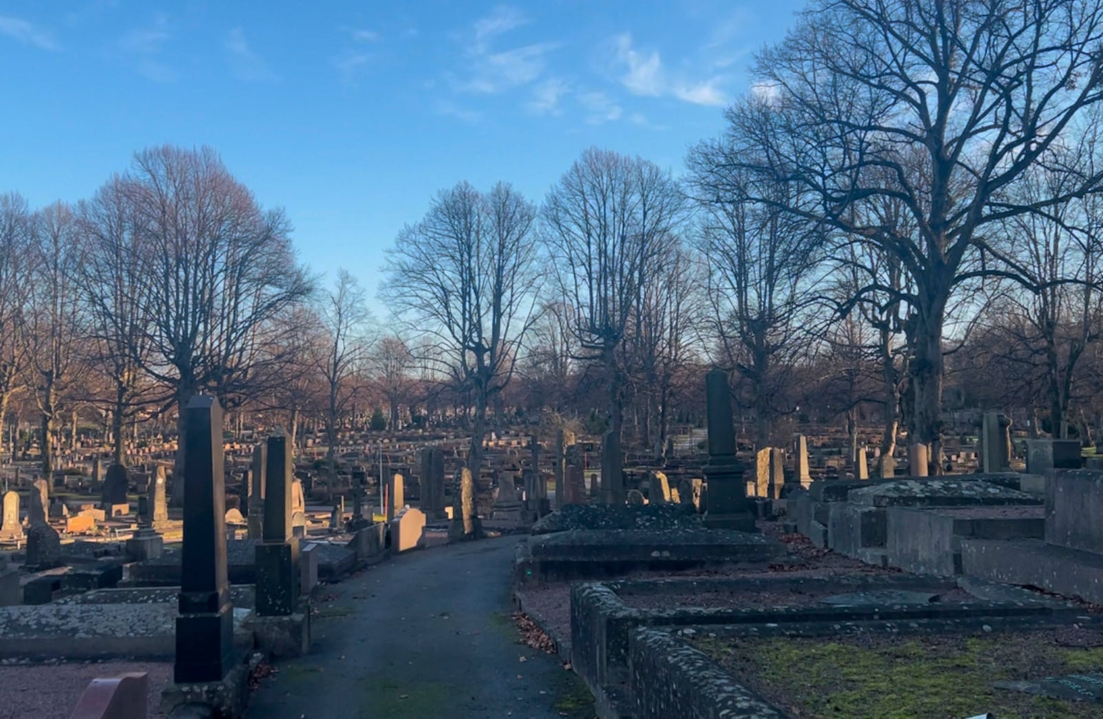 Hundreds of old graves at Östra Kyrkogården, one of the largest cemeteries in Gothenburg, Friday, Dec. 20, 2024 in Gothenburg, Sweden. (AP Photo/Mimmi Montgomery)