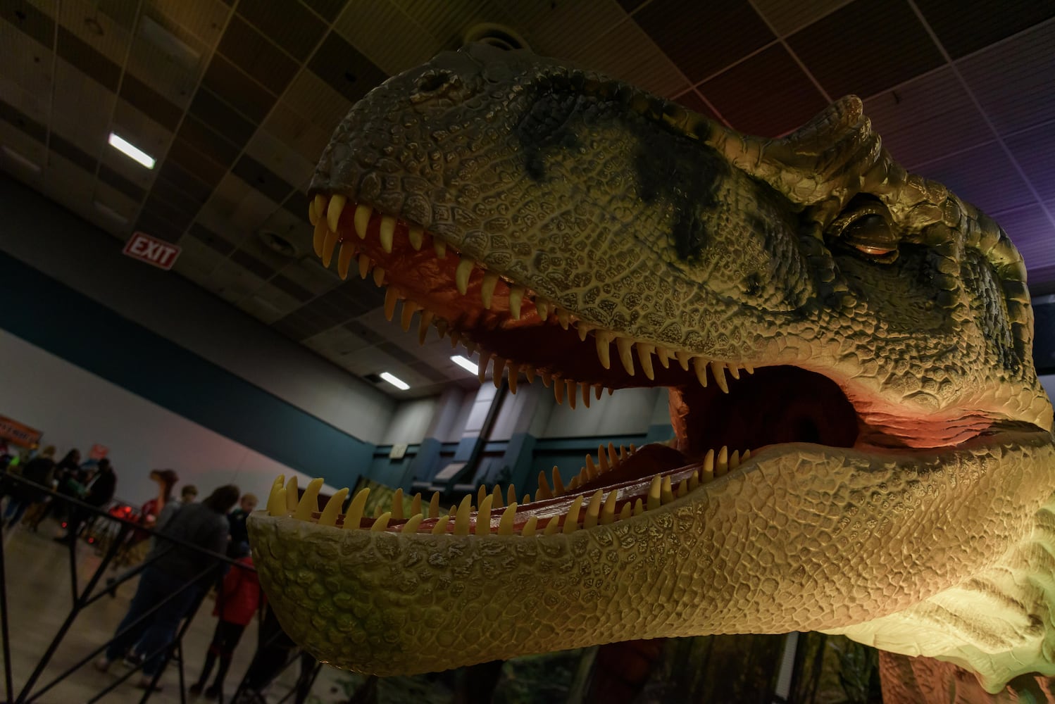 PHOTOS: Did we spot you hanging out with dinosaurs at Jurassic Quest at the Dayton Convention Center?