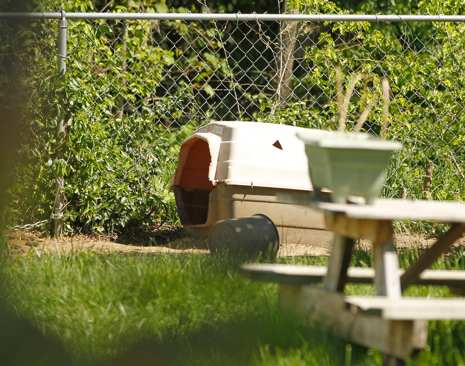 One of four empty dog houses near the alley of a house at 345 Middle St. in Dayton where a man was mauled to death by a dog early on Tuesday morning, April 25.  Police say the victim was attacked by a vicious adult male pit bull around 5:15 a.m. Officers located and removed three pit bulls from the property.    TY GREENLEES / STAFF