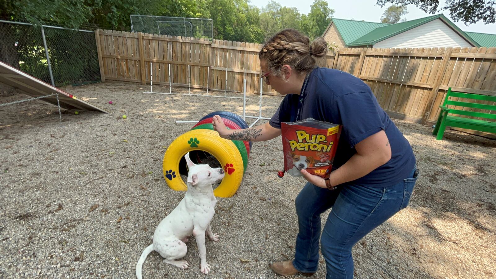 Marisa McGriff, volunteer coordinator with the Humane Society of Greater Dayton, gets "Charles" to sit with the promise of a tasty treat. Charles is a terrier/Dalmatian mix that is less than a year old. CORNELIUS FROLIK / STAFF