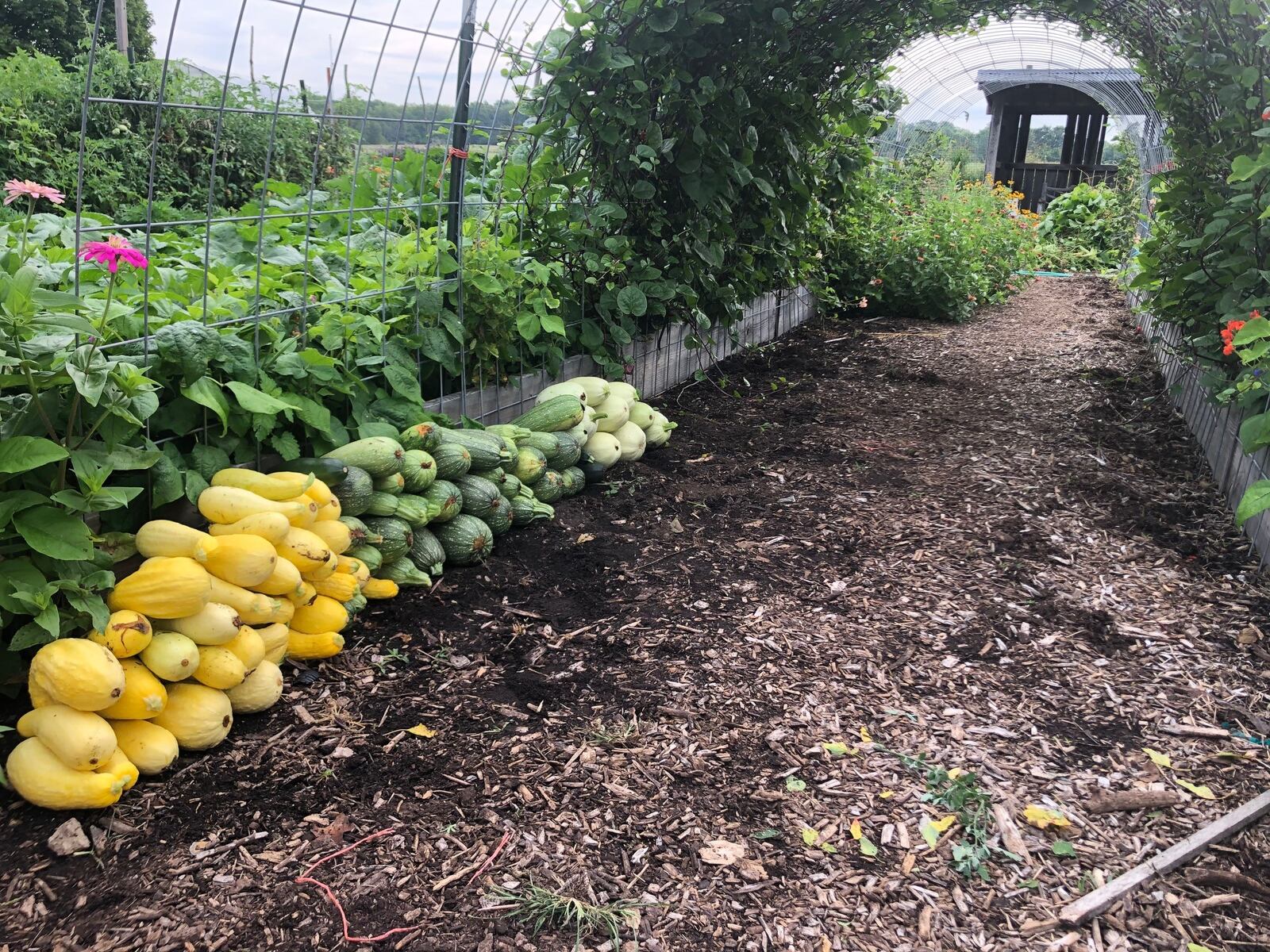 MetroParks' demonstration garden (CONTRIBUTED)