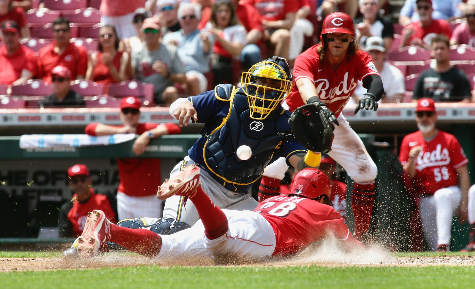 Tommy Pham, of the Reds, scores on a bases-clearing double by Tyler Stephenson as Brewers catcher Omar Narváez waits for the throw in the second inning on Wednesday, May 11, 2022, at Great American Ball Park in Cincinnati. David Jablonski/Staff