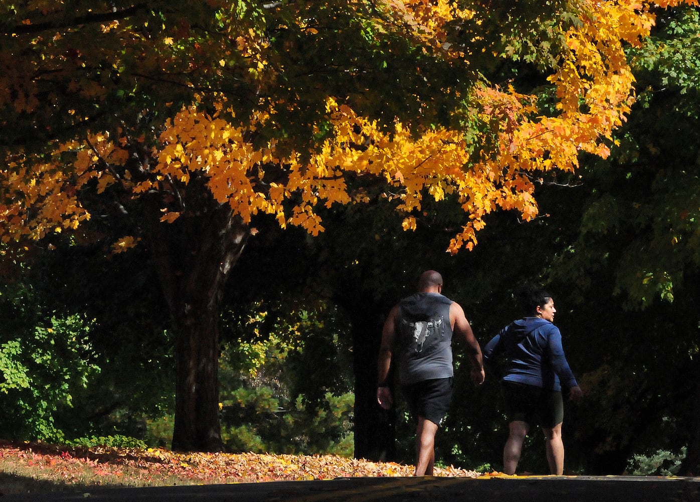 Fall Color