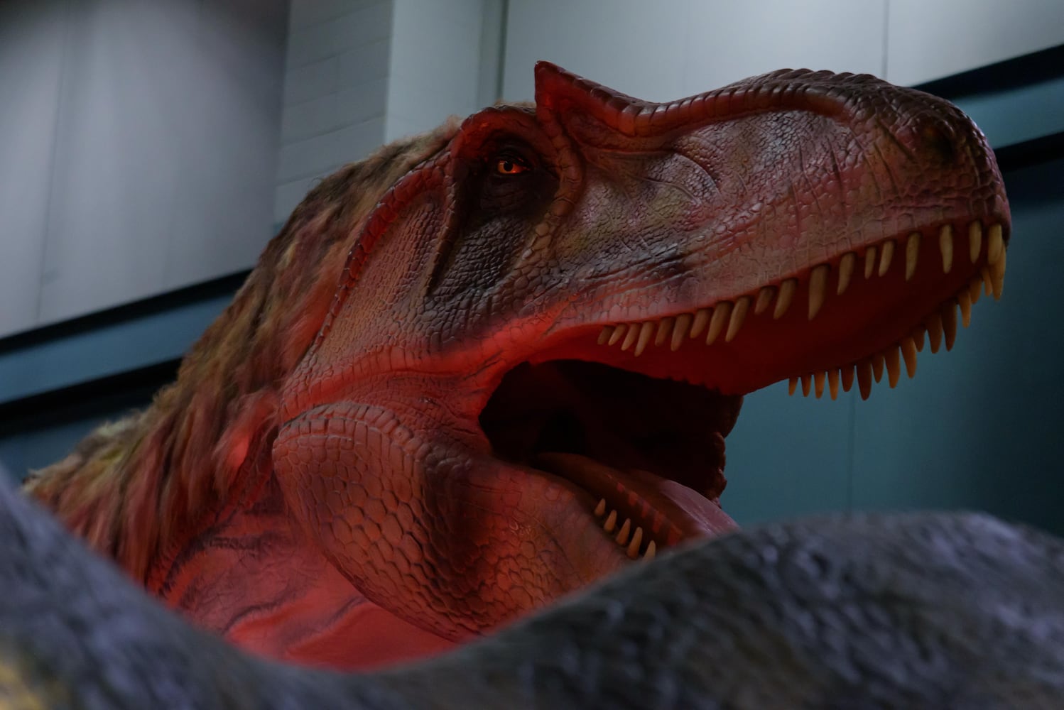 PHOTOS: Did we spot you hanging out with dinosaurs at Jurassic Quest at the Dayton Convention Center?