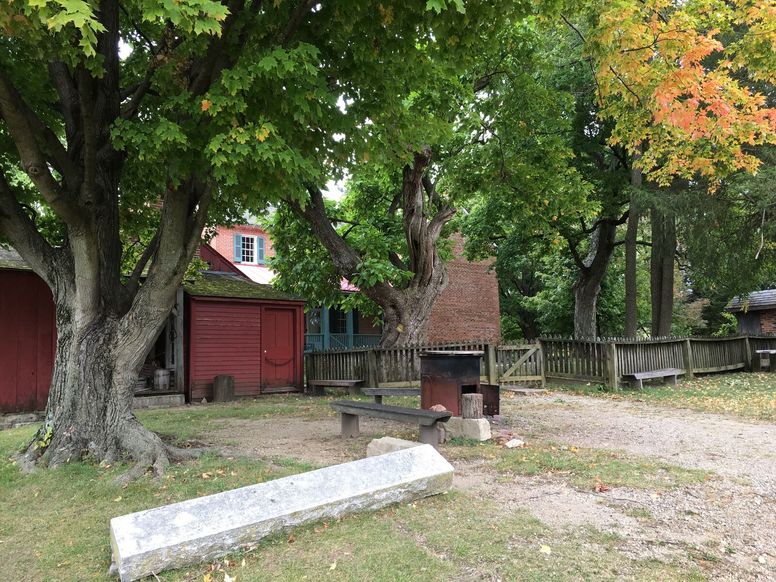 Carriage Hill's historical farm is a fall beauty as its leaves begin to fall all over the homestead.