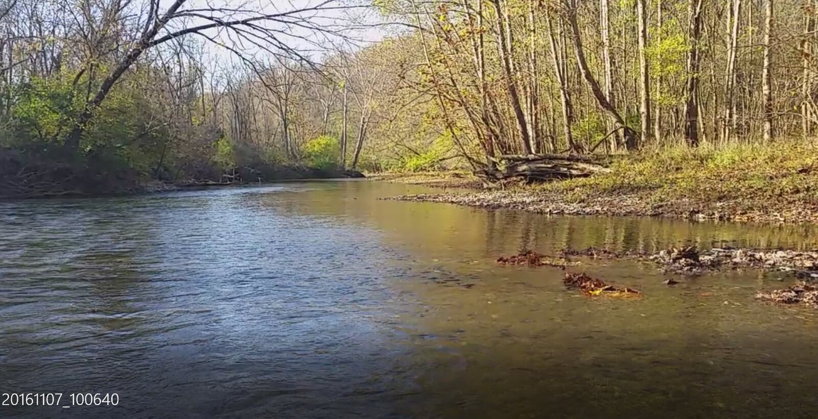 Dr. Robert K. Finley Jr. of Wayne Twp. donated a 10-acre preserve along the Little Miami River.