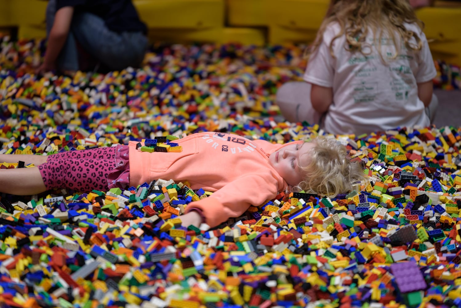 PHOTOS: Brick Fest Live at the Dayton Convention Center