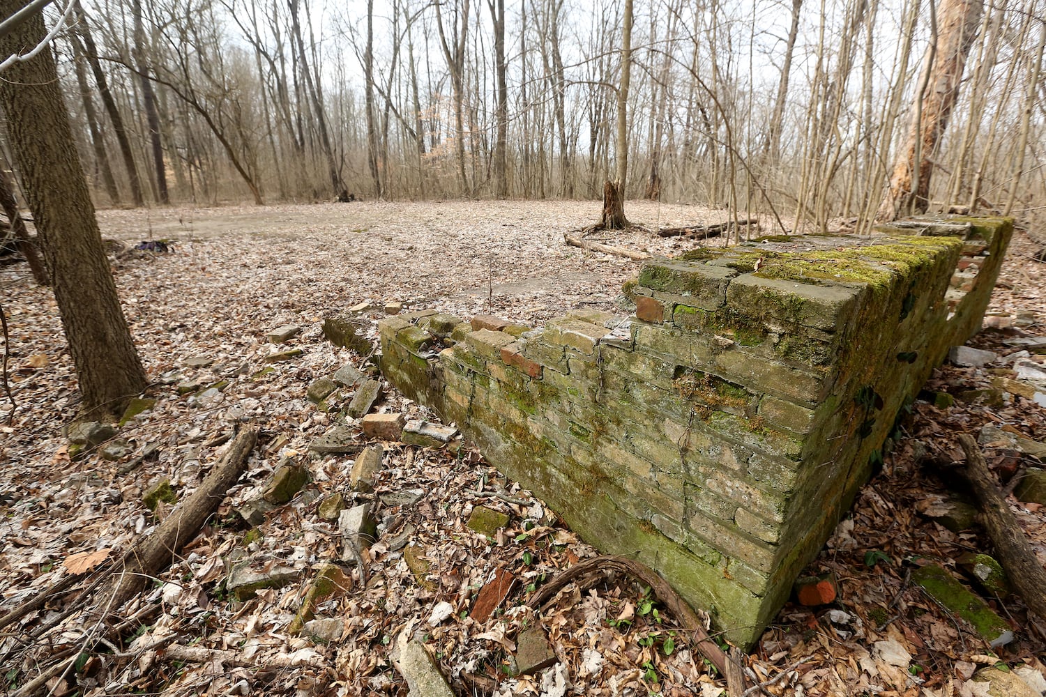 PHOTOS: Long-abandoned amusement park lives on in Possum Creek MetroPark