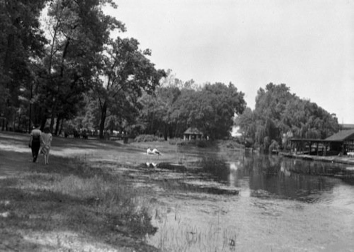 Historic photos of Old River Park