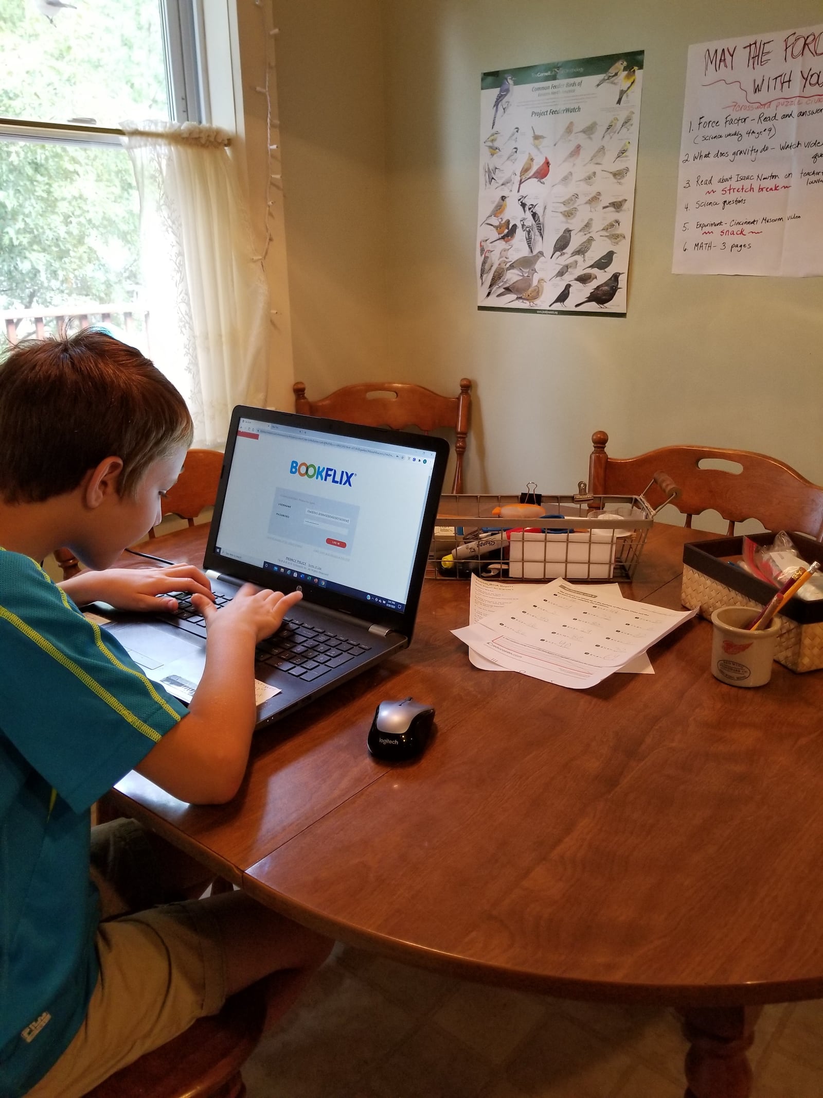 Wyatt Lauricella and his grandmother Cheryl Lauricella became learning from home partners last spring and discovered a wealth of resources, including a little creativity, along the way. CONTRIBUTED