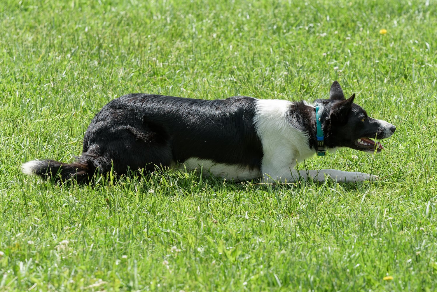 PHOTOS: Wooly Wonders - Spring on the Farm Family Event at Learning Tree Farm