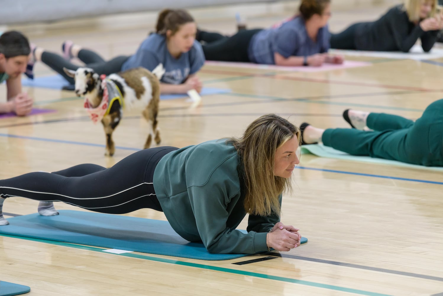 PHOTOS: Sweetheart Goat Yoga at Vandalia Recreation Center