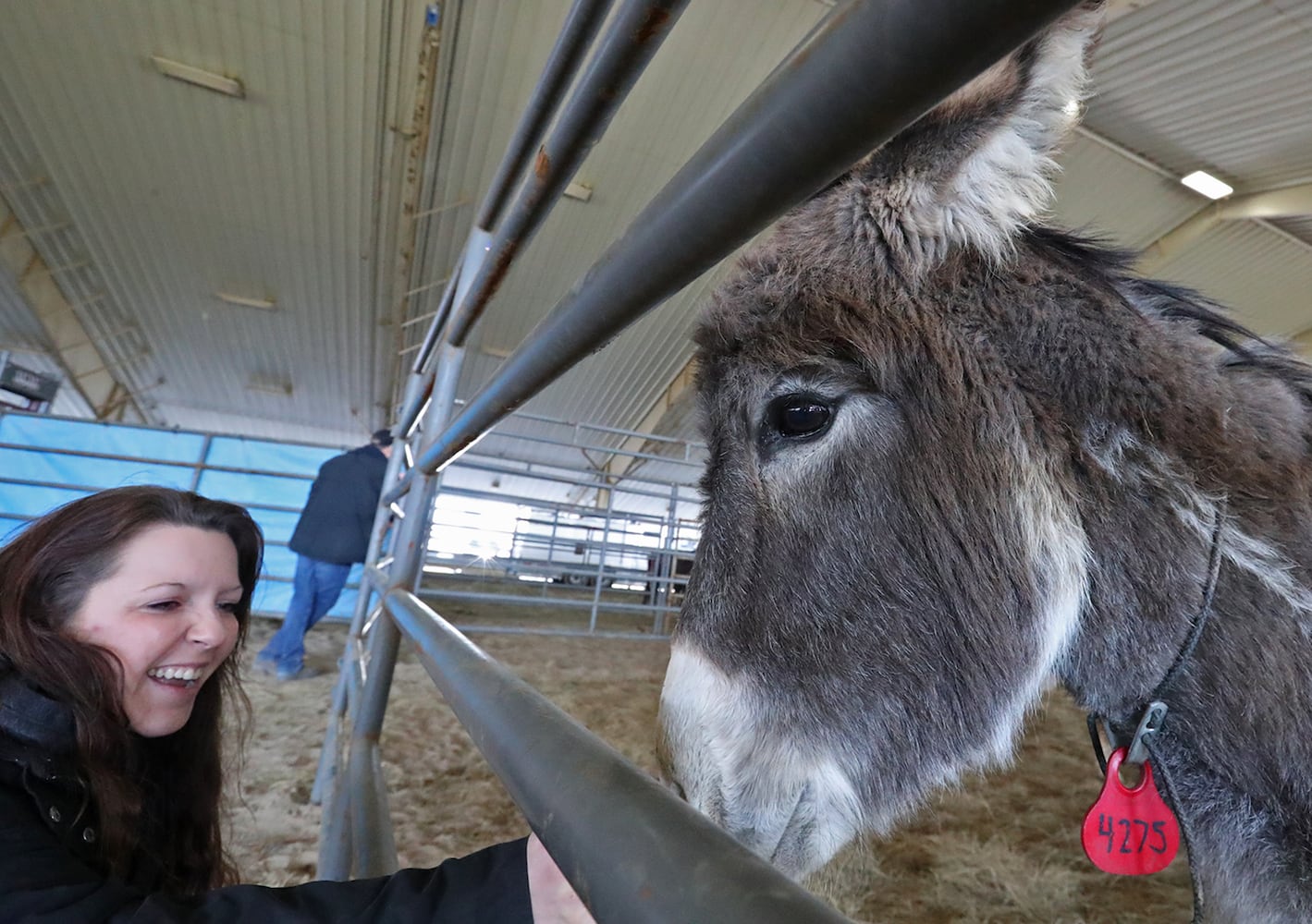 PHOTOS:  Wild Horse and Burro Adoption