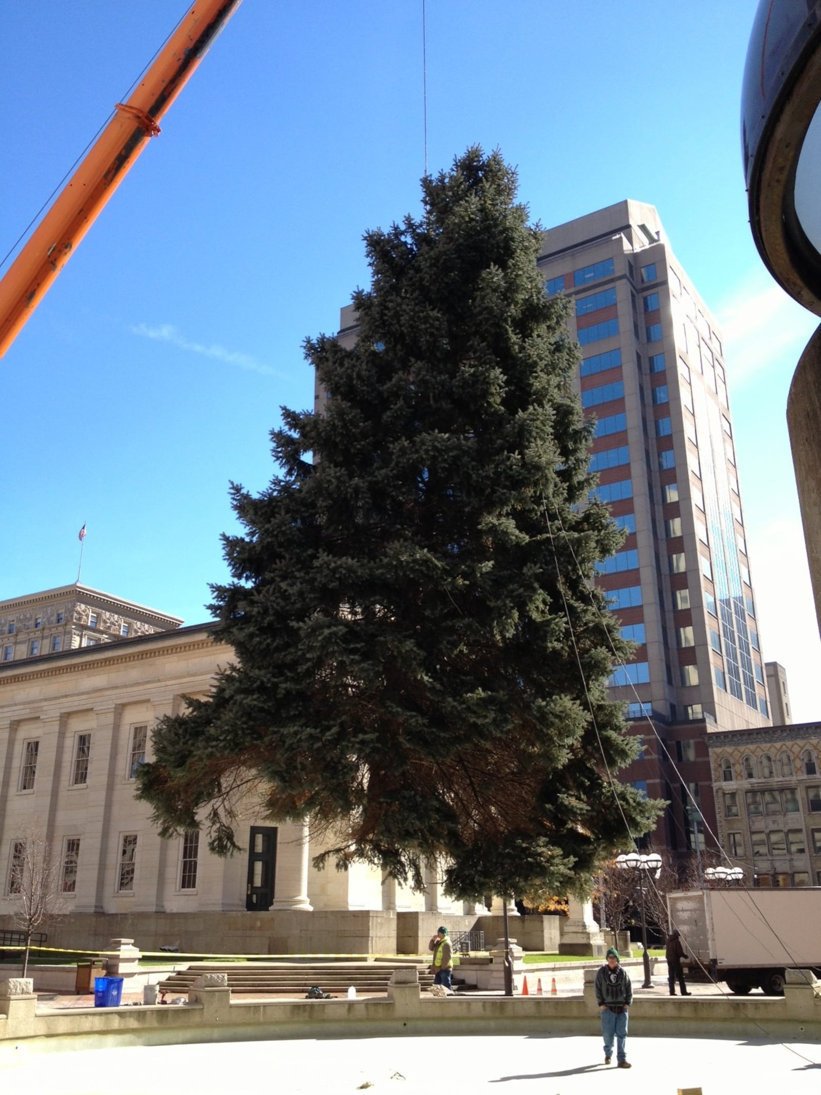 The selected tree will be decorated with more than 50,000 lights. PHOTO / Downtown Dayton Partnership