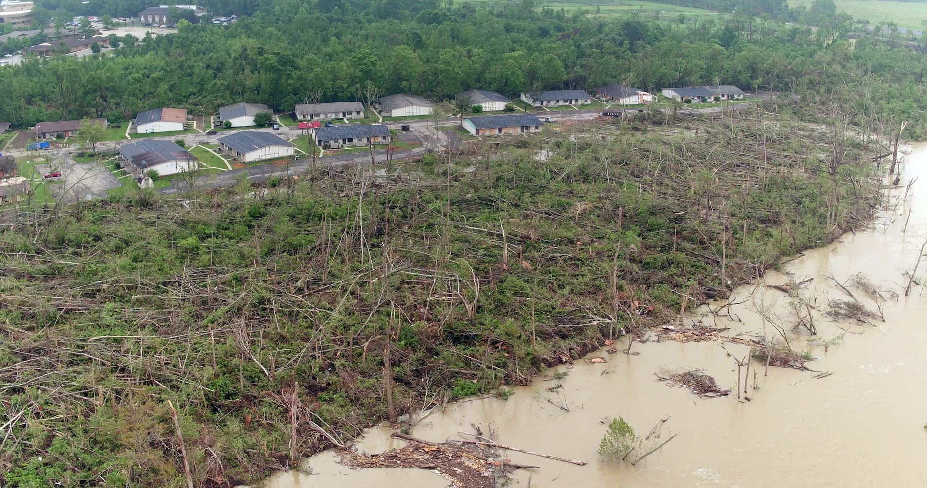 PHOTOS: Broken and downed trees another reminder of tornadoes