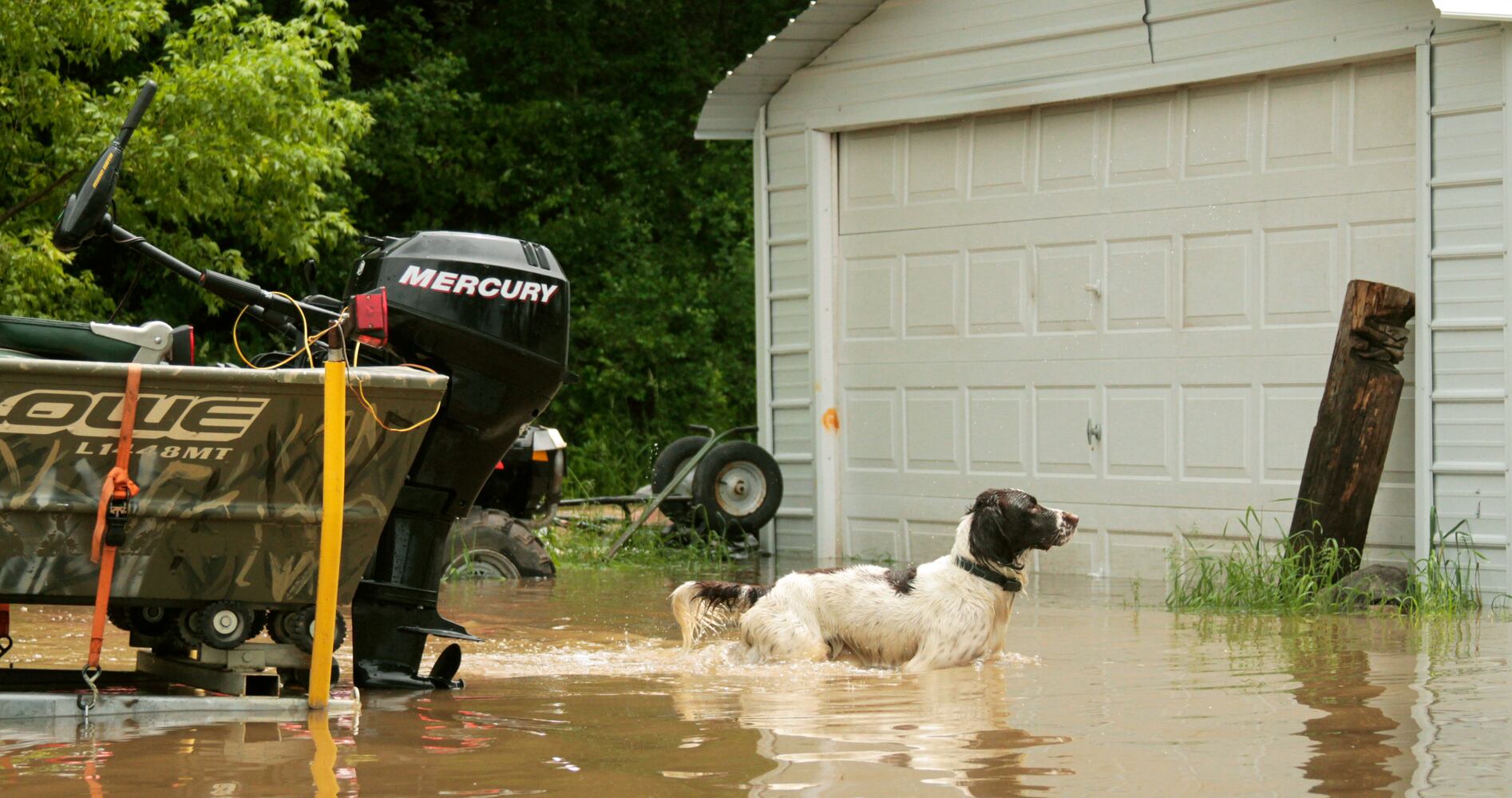 News hounds (6/19/2014)