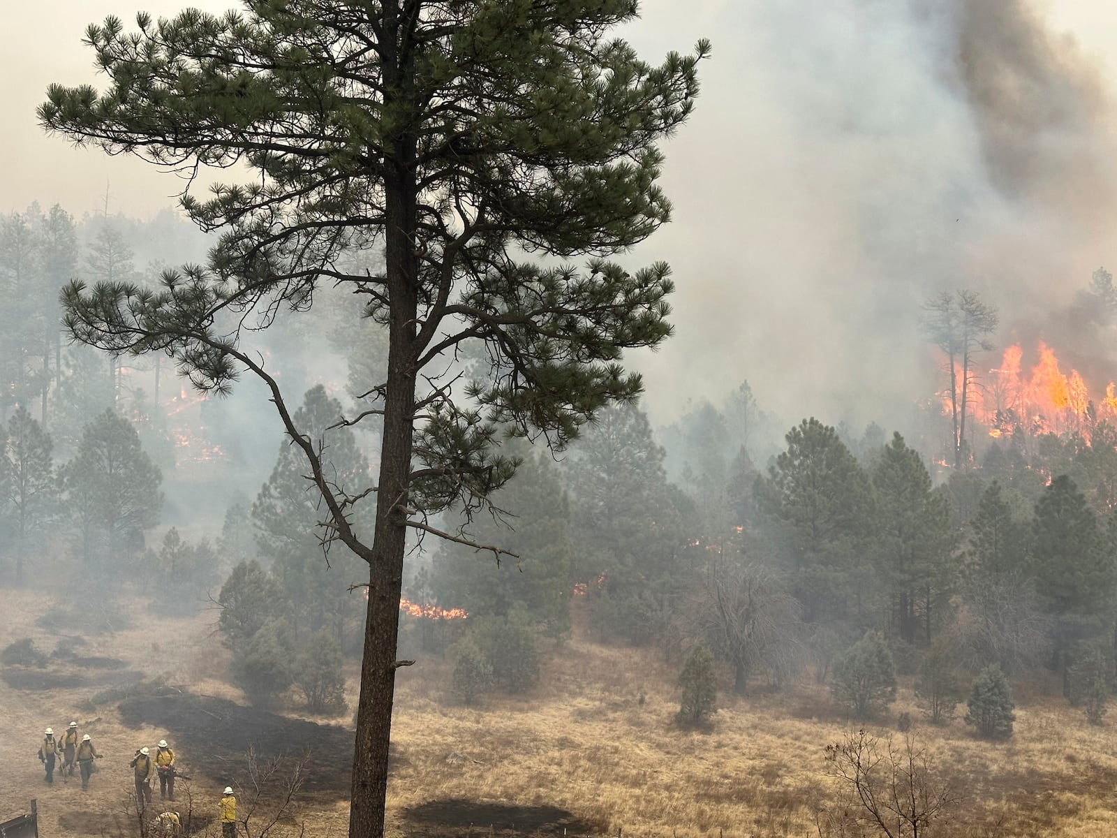 This March 18, 2025 image provided by the New Mexico State Forestry Division shows firefighters battling a wildfire in southern New Mexico amid strong winds and dry conditions. Caleb Finch/(New Mexico State Forestry Division via AP)