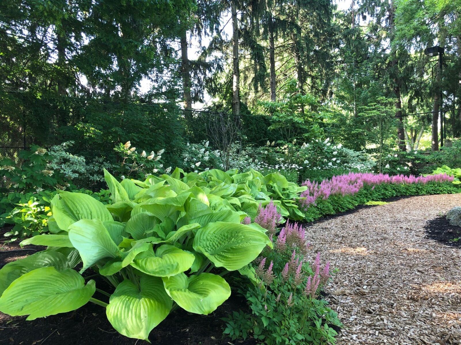 Woodchipped paths wind among carefully selected hostas and perennials at this Garden Gems stop.  CONTRIBUTED