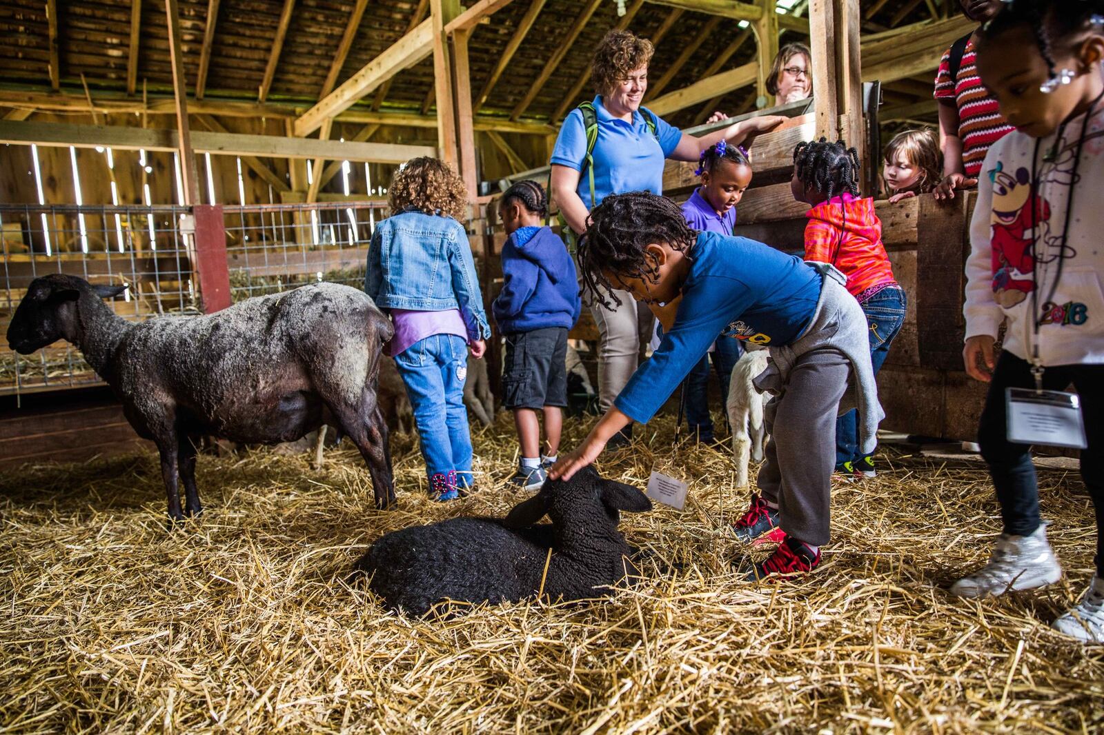 Learning Tree Farm provides access to hands-on learning in a traditional farm setting to all children and families in the Miami Valley. SUBMITTED PHOTO