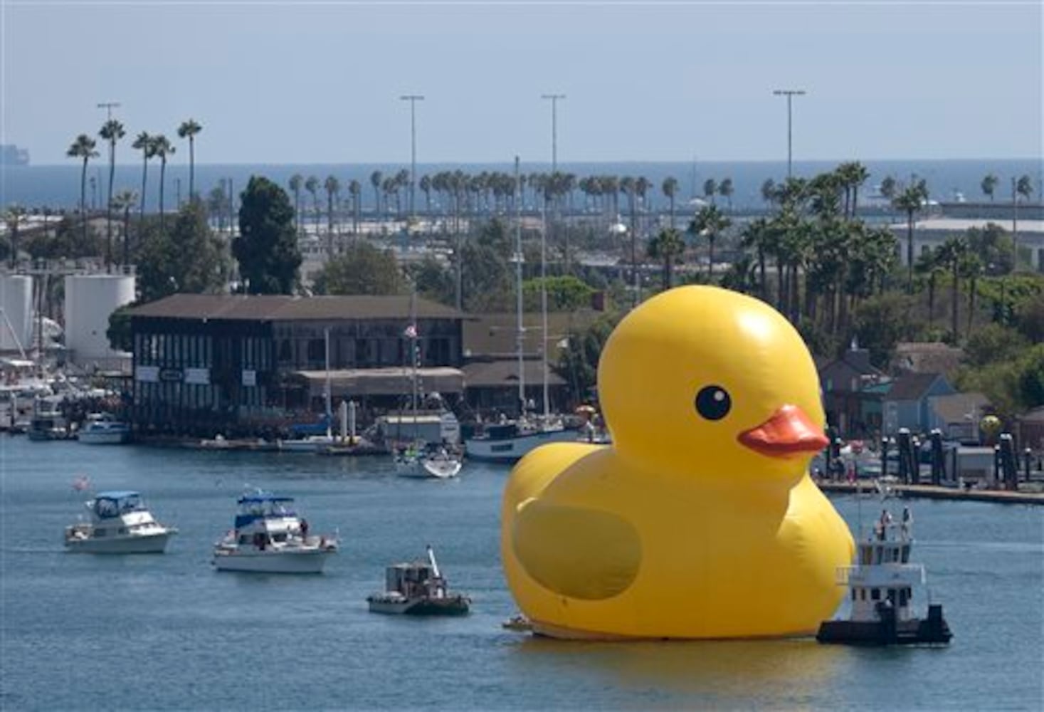 Port of Los Angeles on Wednesday, Aug. 20, 2014