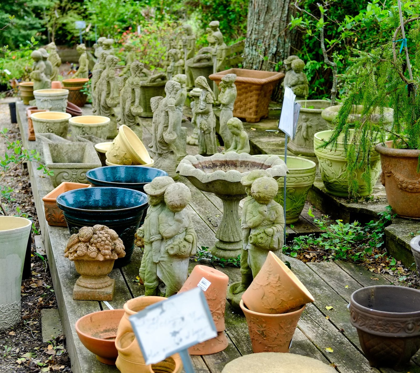 Mary's Plant Farm & Landscaping is a family business that was started 41 years ago and is still run by owner Mary Harrison, who is 95 years old.