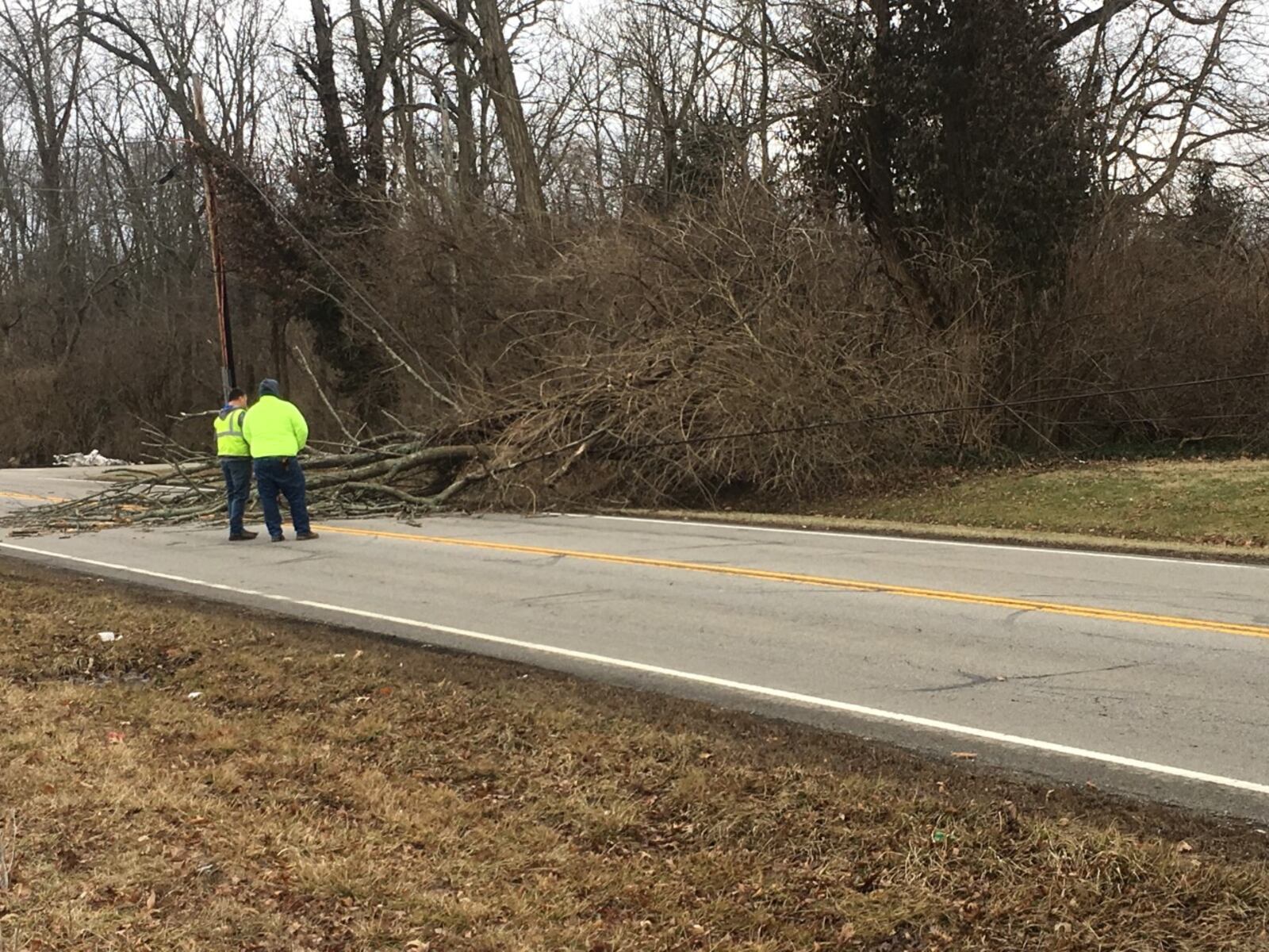 Crews respond to a tree down over Trebein Road near Ludlow Road in Beavercreek Twp.