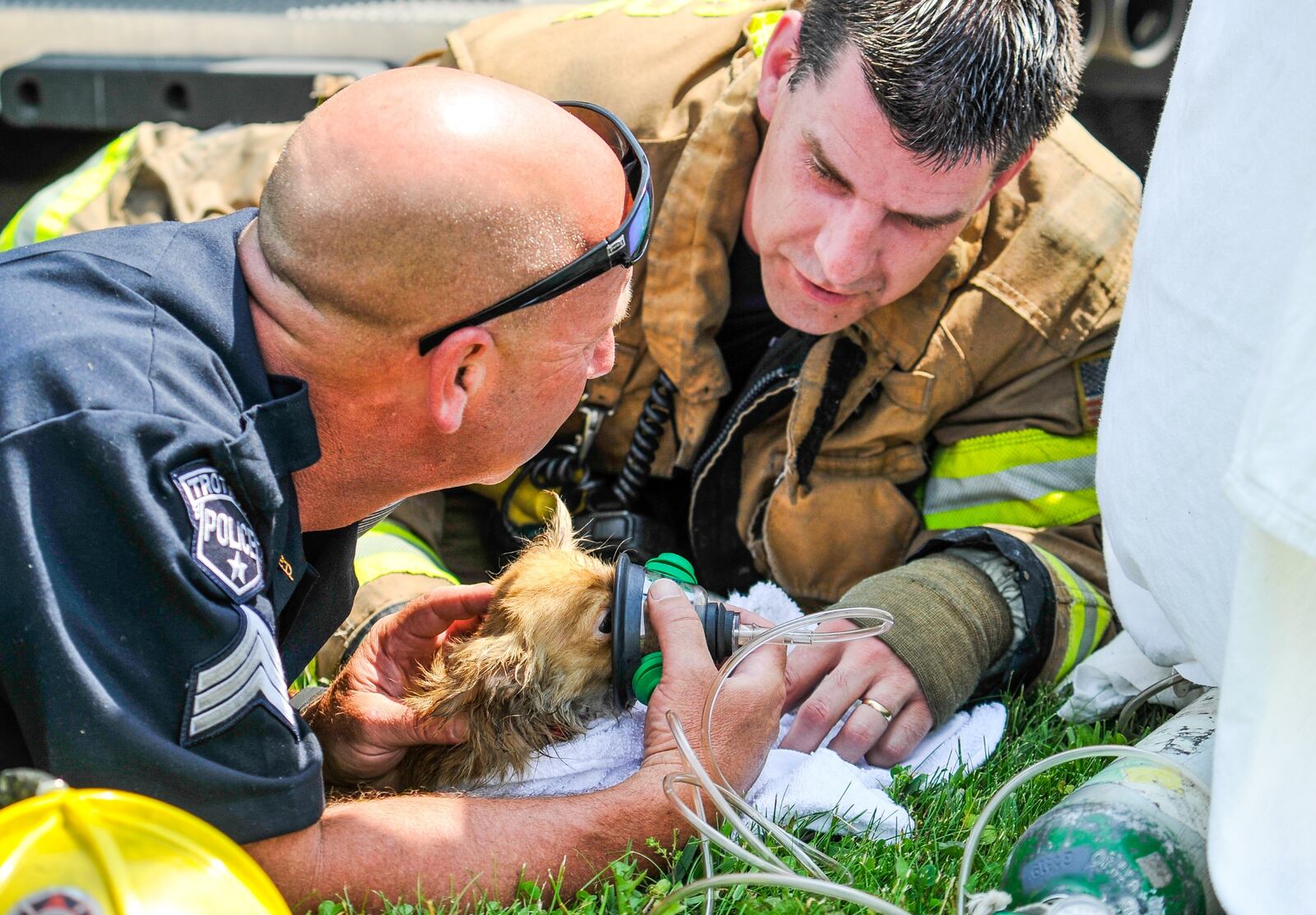 Trotwood Police Sgt. Brent Rasor, left, and  Harrison Twp. firefighter Fred Puderbaugh, right, give oxygen to a long-haired chihuahua named, Camo, after it was rescued from a fire at Wingate at Belle Meadows apartments in Trotwood.