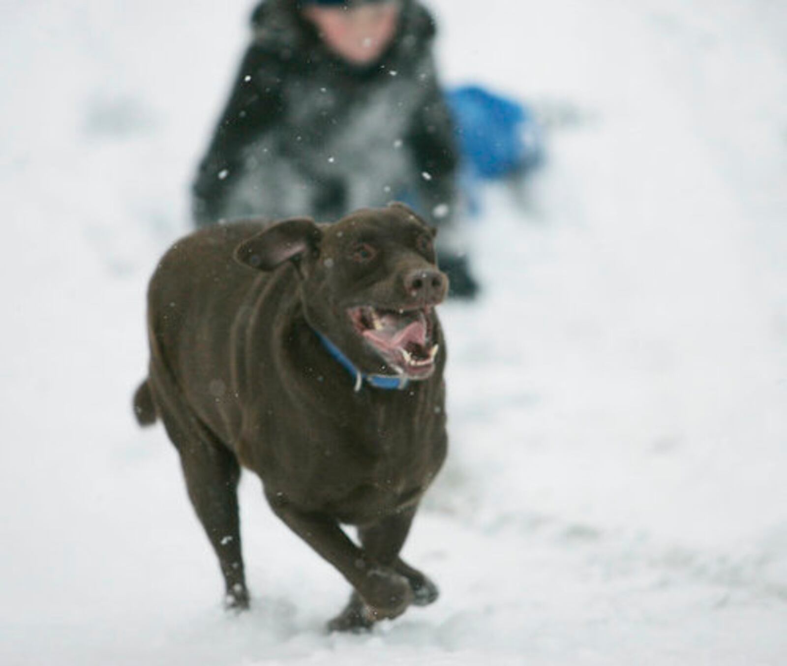 Miami Valley residents enjoyed the first measurable snowfall of the season Saturday Dec 4 at Hills and Dales MetroPark in Kettering and Five Creeks MetroPark in Germantown.