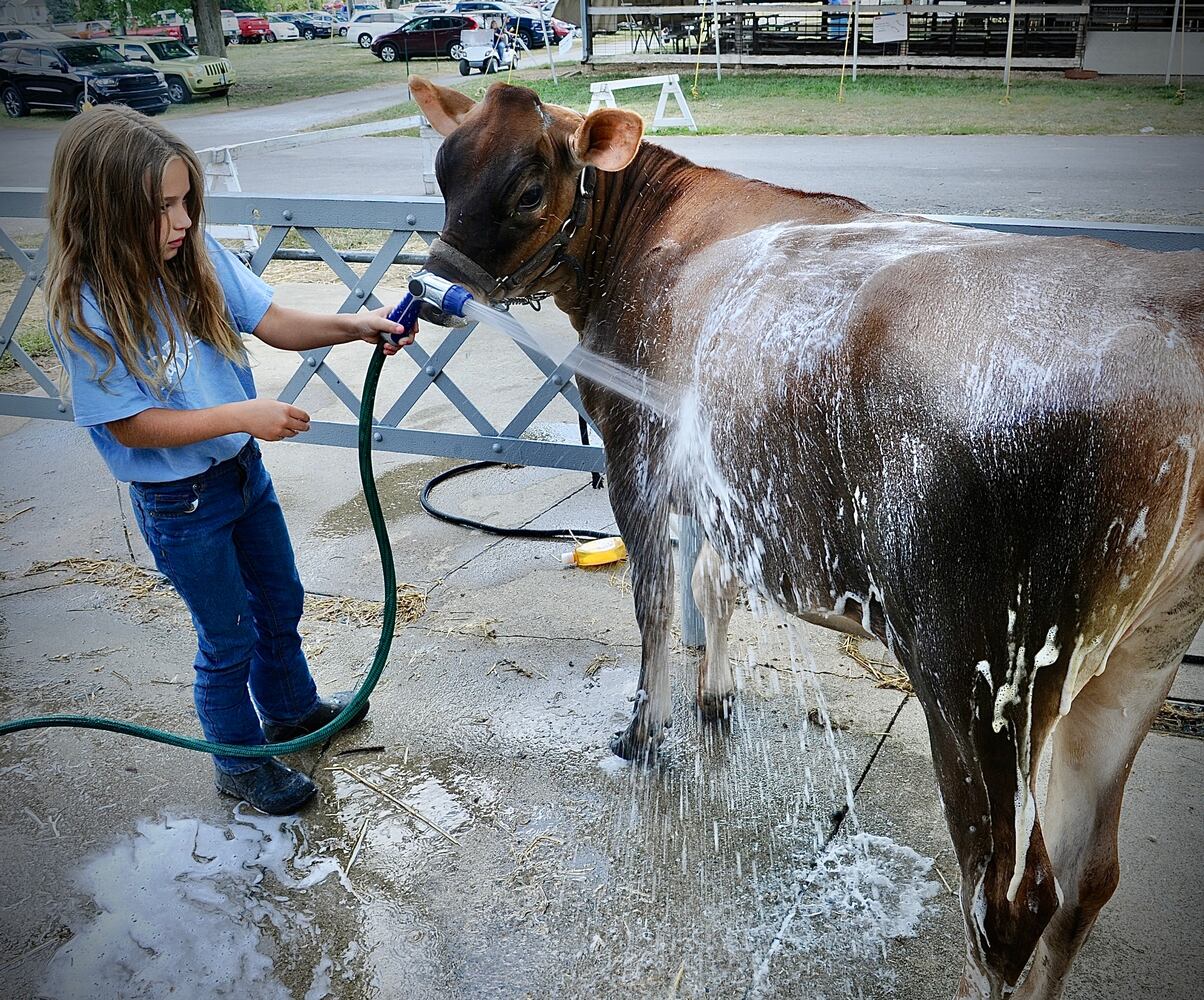 Miami County Fair