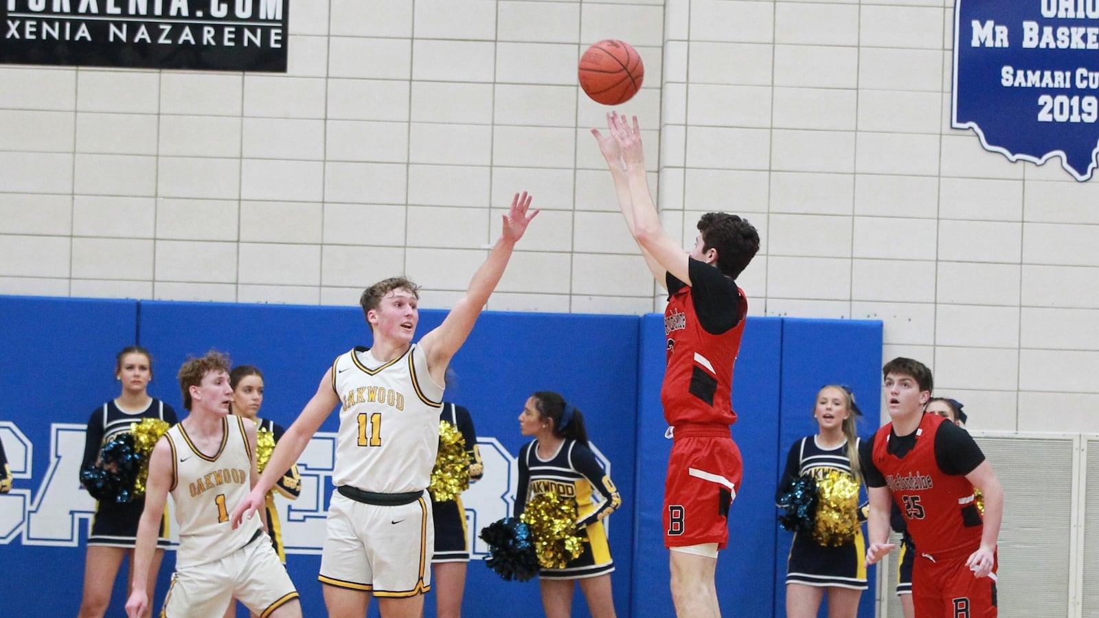 Grayson Lotts Oakwood-Bellefontaine boys basketball district semifinal