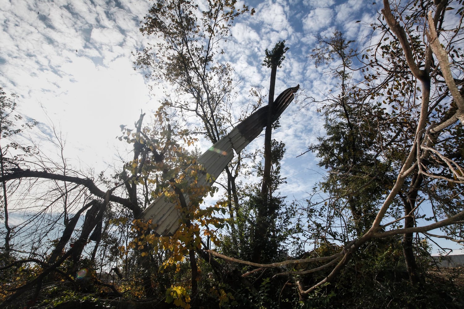 Businesses, parks face huge toll to recover from tornado damage