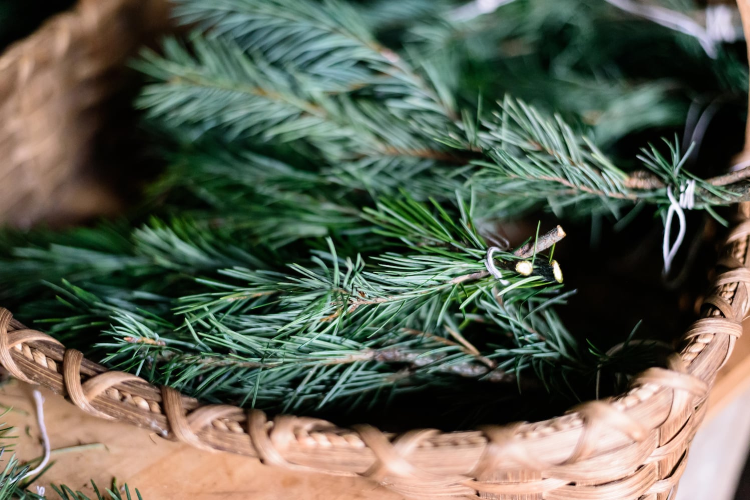 PHOTOS: Christmas on the Farm 2024 @ Carriage Hill MetroPark