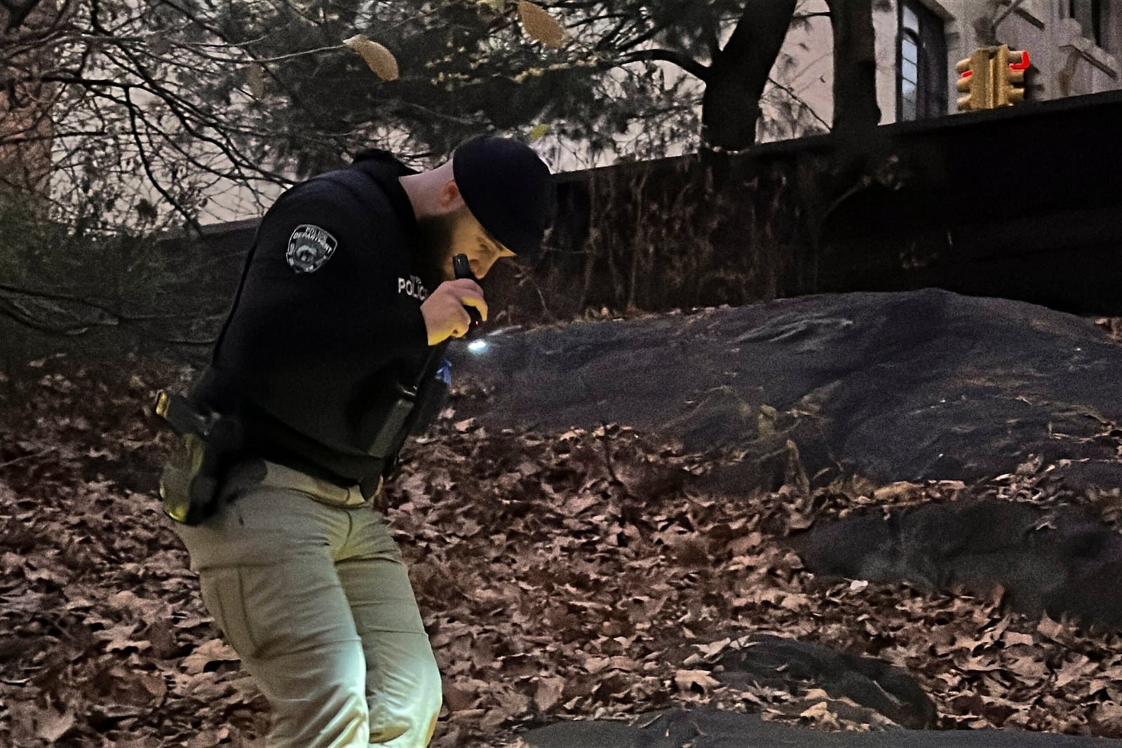 A New York City Police officer walks through brush and foliage in Central Park near 64th Street and Central Park West, Friday, Dec. 6, 2024, in New York, while searching for a backpack police believe was dropped in the park by the person suspected of killing UnitedHealthcare CEO Brian Thompson on Wednesday, Dec. 4, 2024. (AP Photo/Ted Shaffrey)